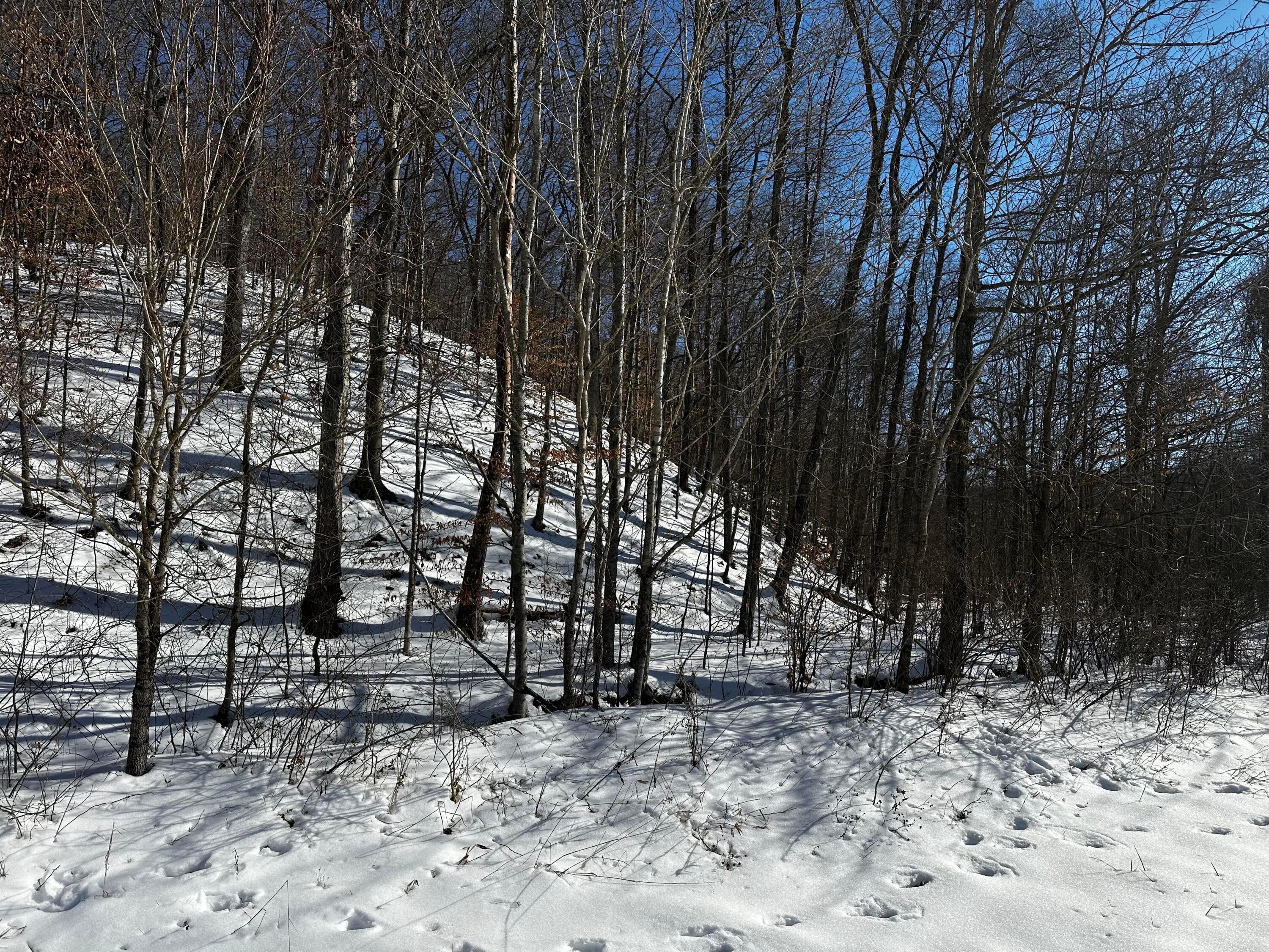 1529 Hull Road #TRACT 7 WOODS WAYNE FORE, Patriot, Ohio image 13