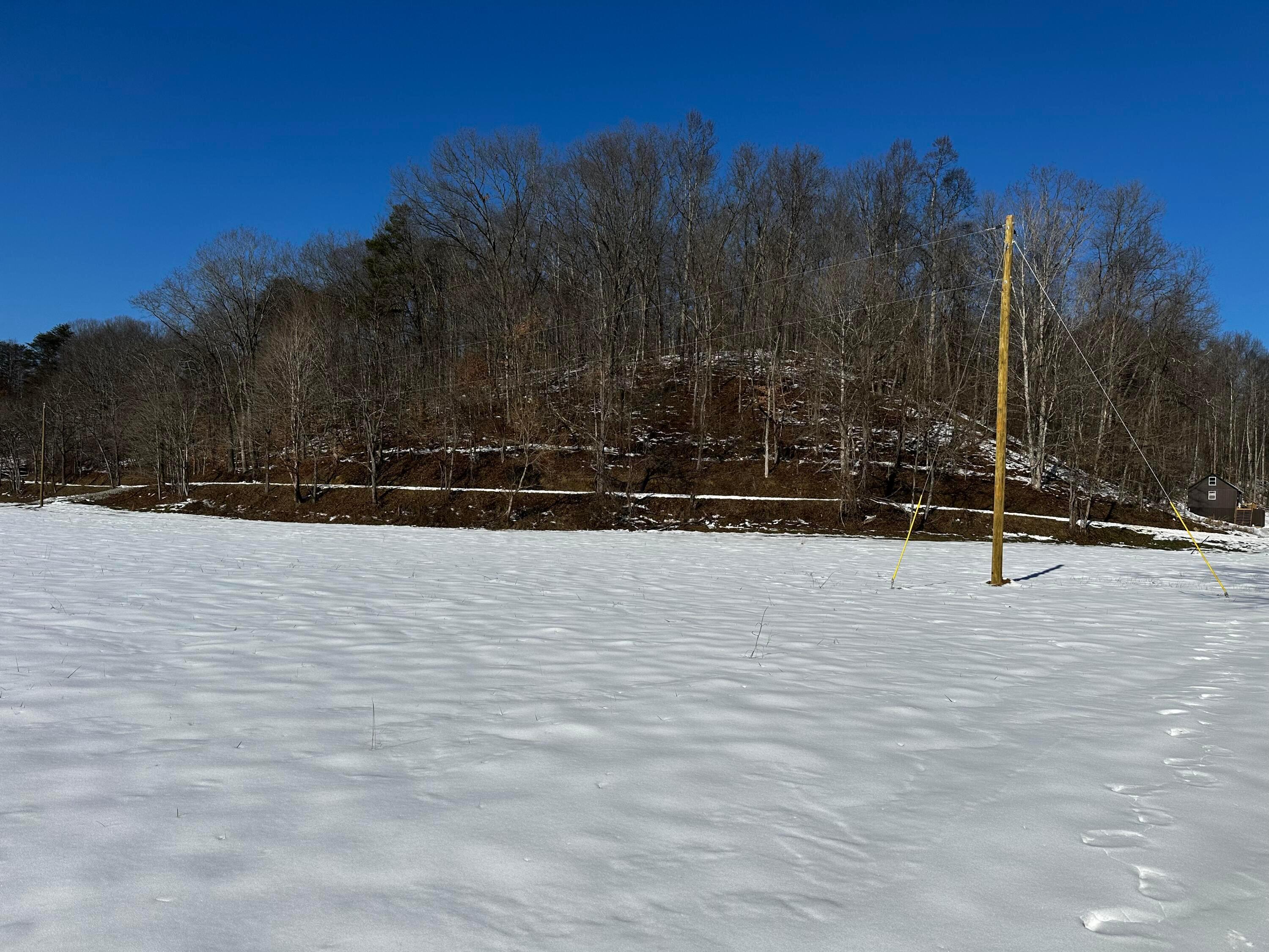 1529 Hull Road #TRACT 7 WOODS WAYNE FORE, Patriot, Ohio image 14