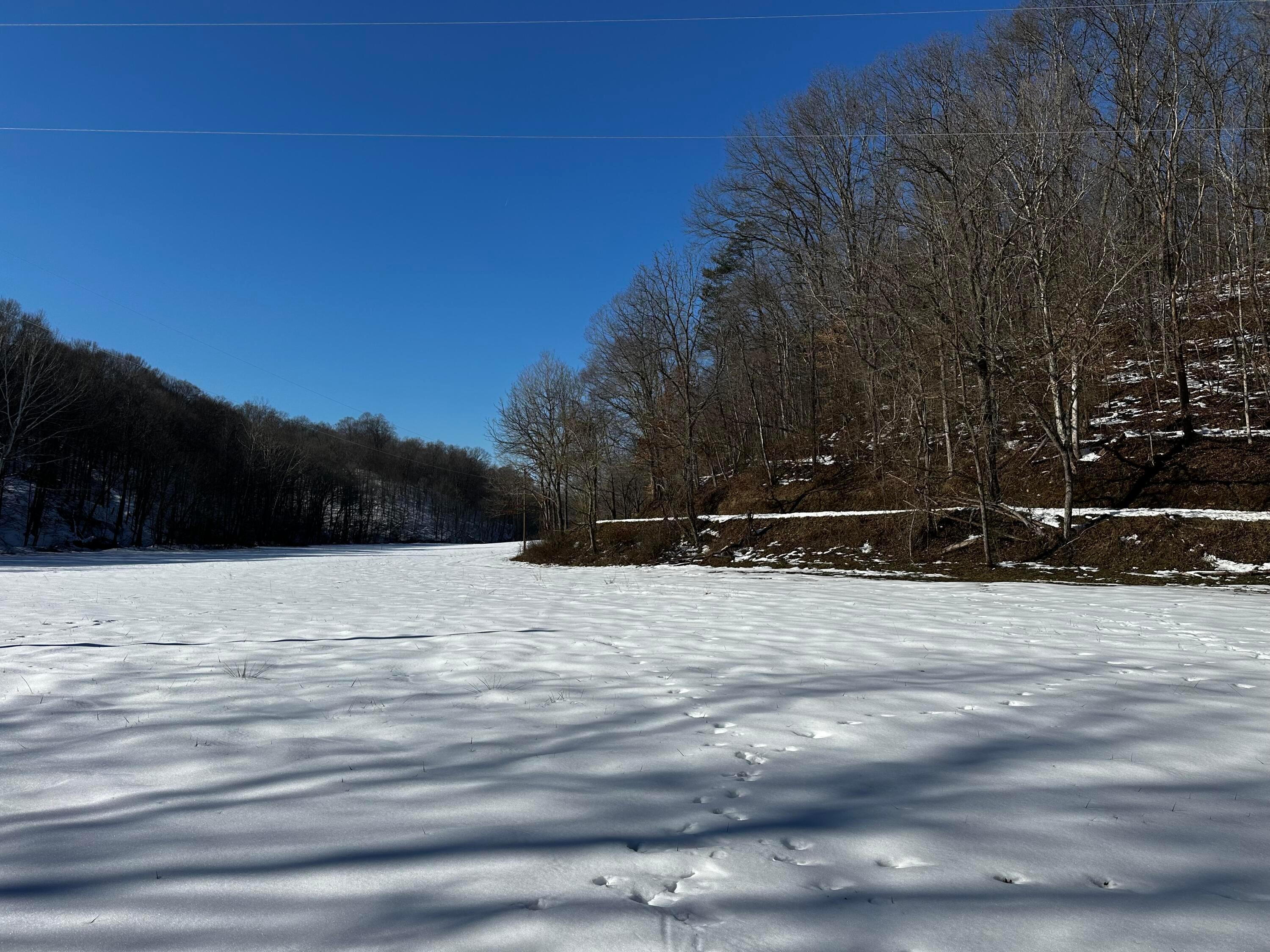 1529 Hull Road #TRACT 7 WOODS WAYNE FORE, Patriot, Ohio image 12