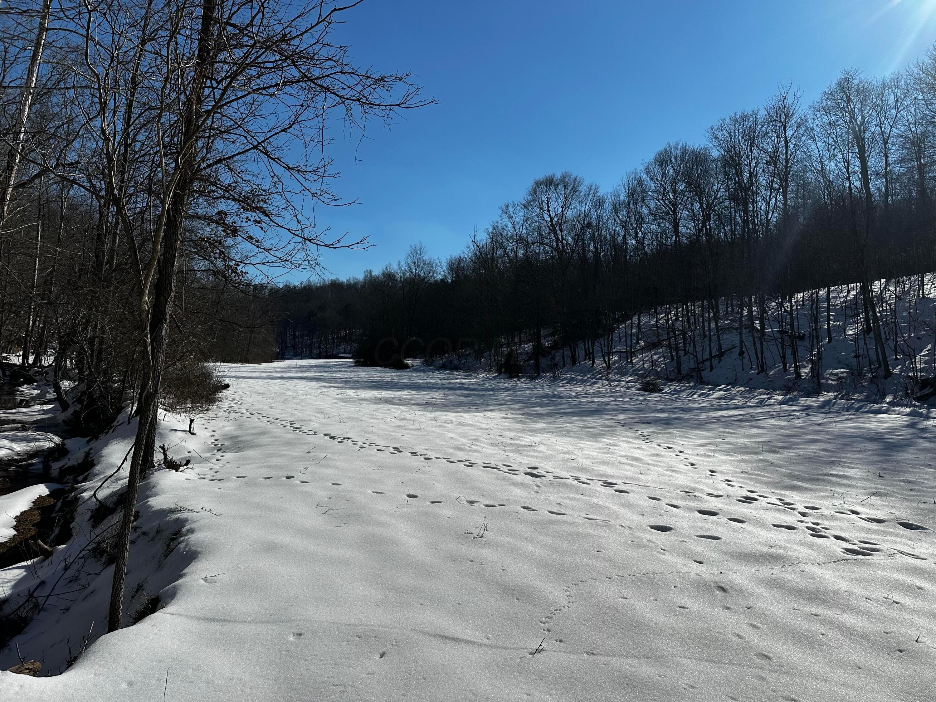 1529 Hull Road #TRACT 7 WOODS WAYNE FORE, Patriot, Ohio image 26