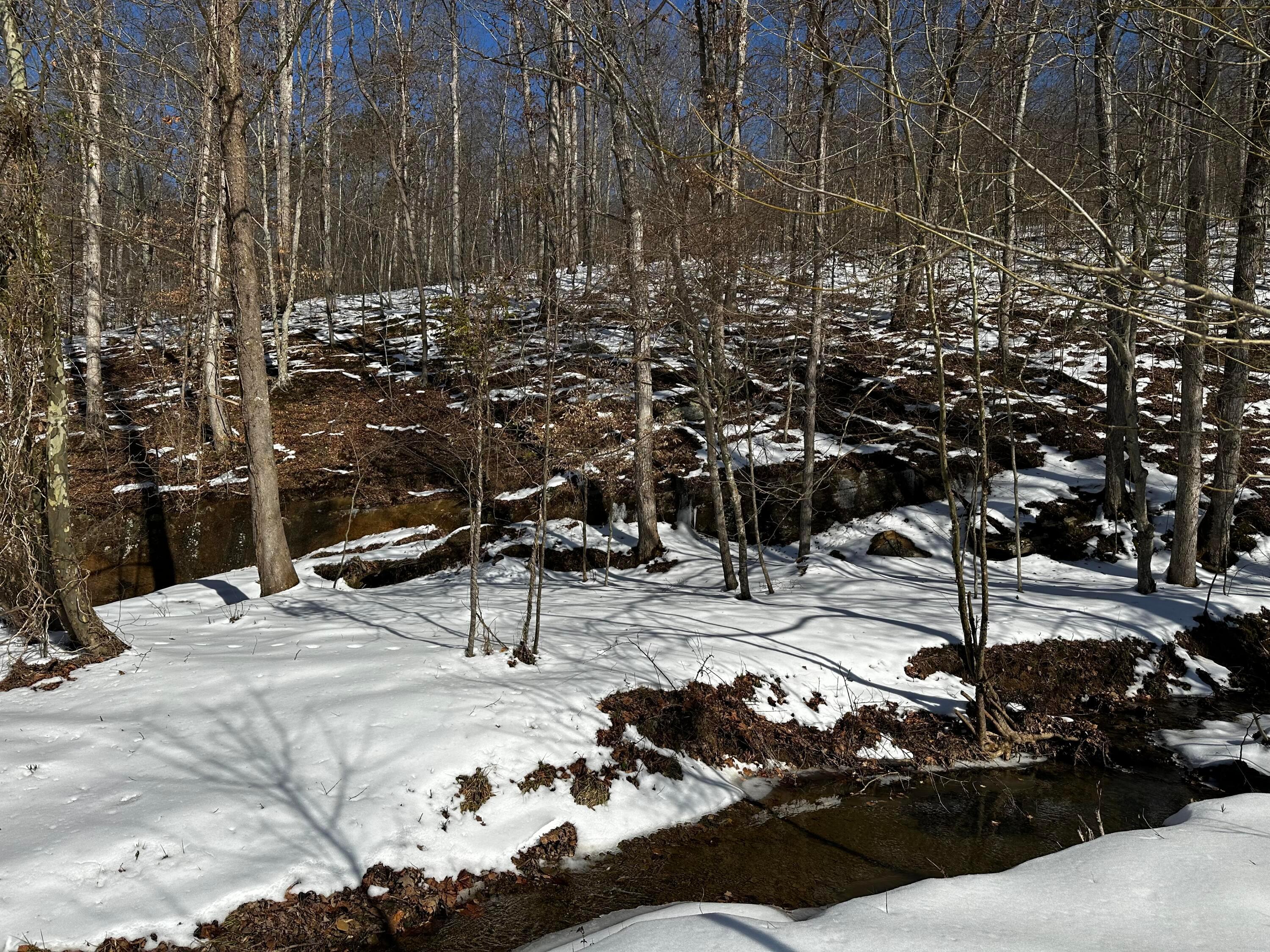 1529 Hull Road #TRACT 7 WOODS WAYNE FORE, Patriot, Ohio image 36