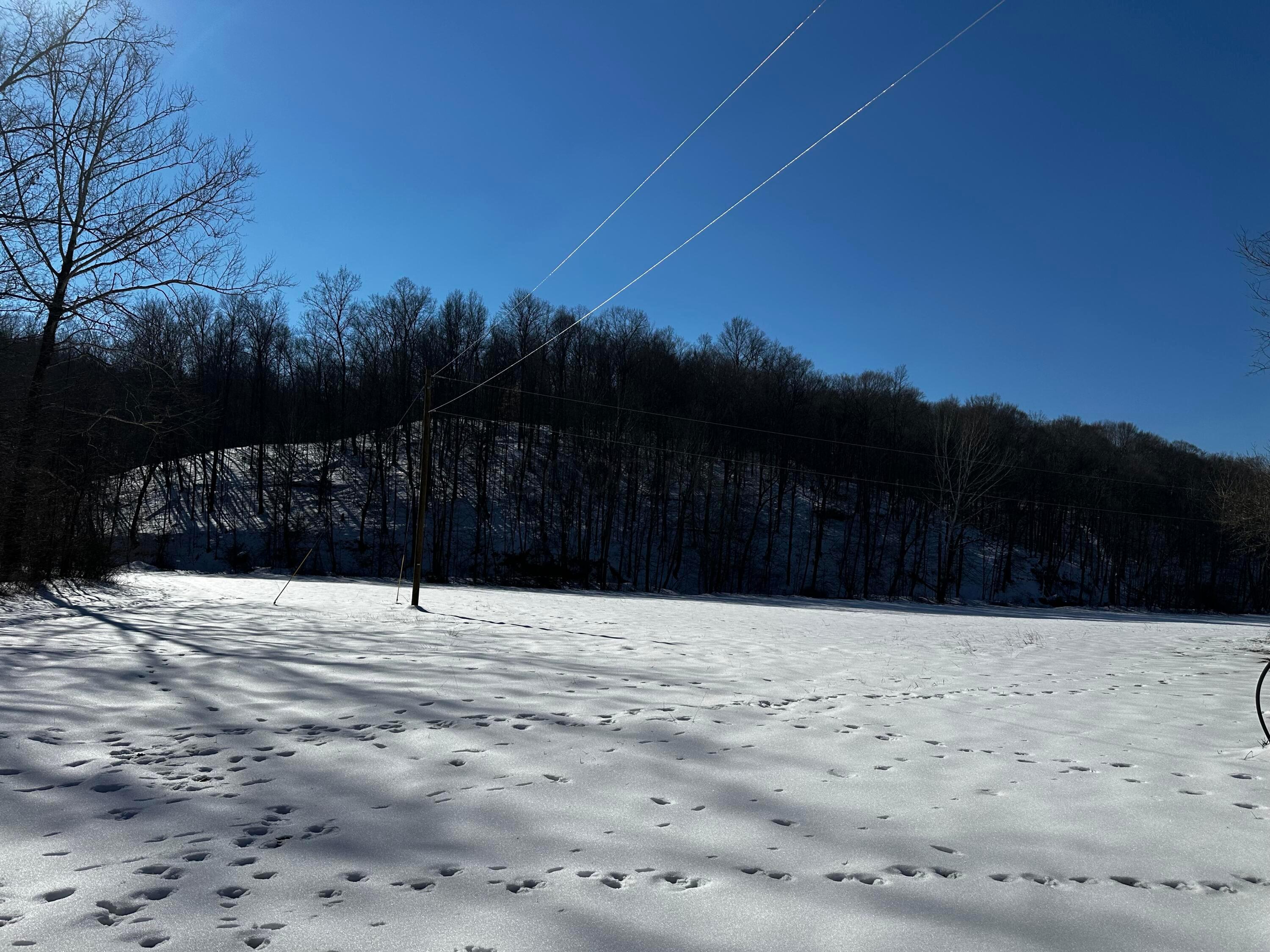 1529 Hull Road #TRACT 7 WOODS WAYNE FORE, Patriot, Ohio image 10