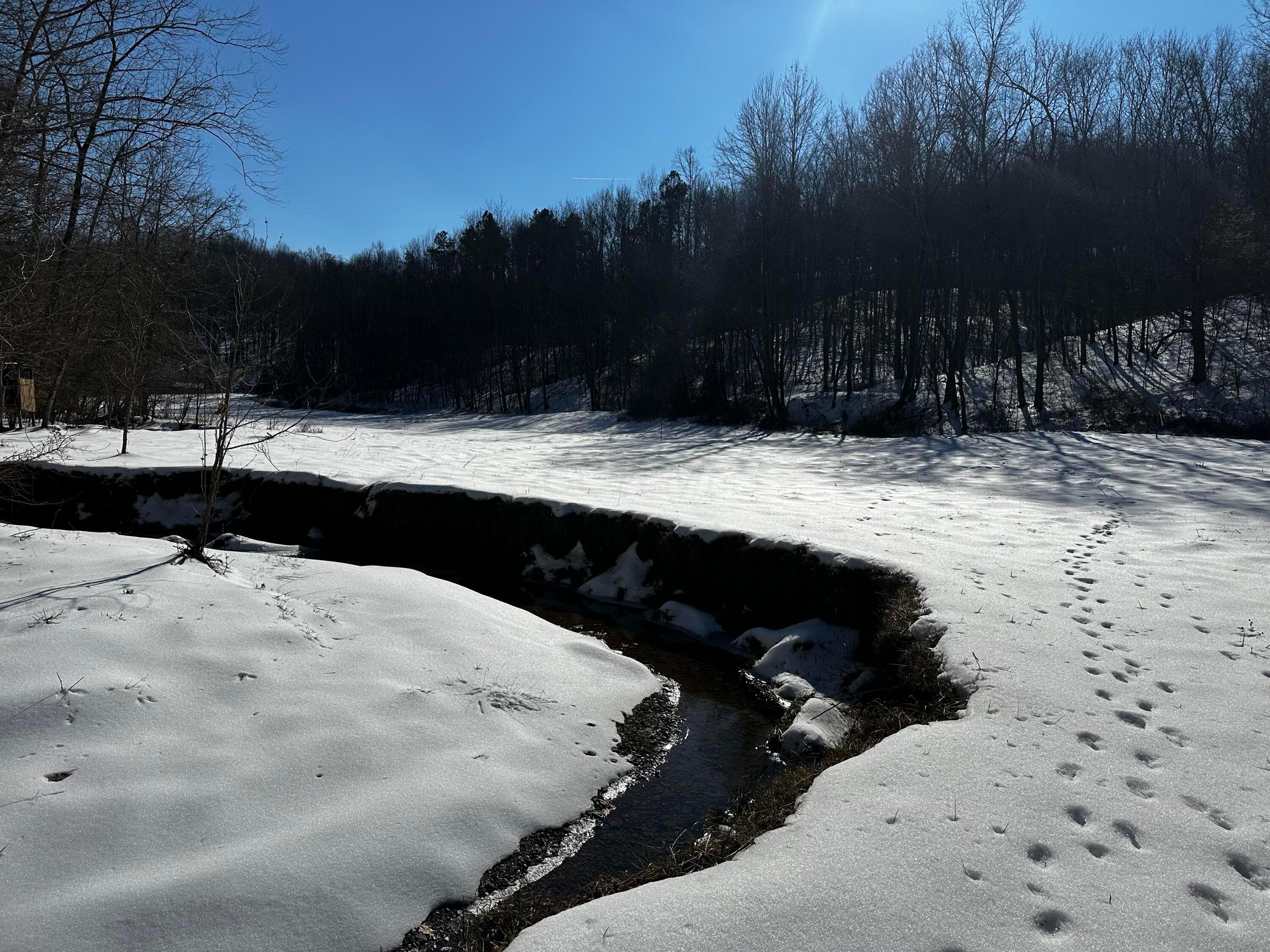 1529 Hull Road #TRACT 7 WOODS WAYNE FORE, Patriot, Ohio image 35