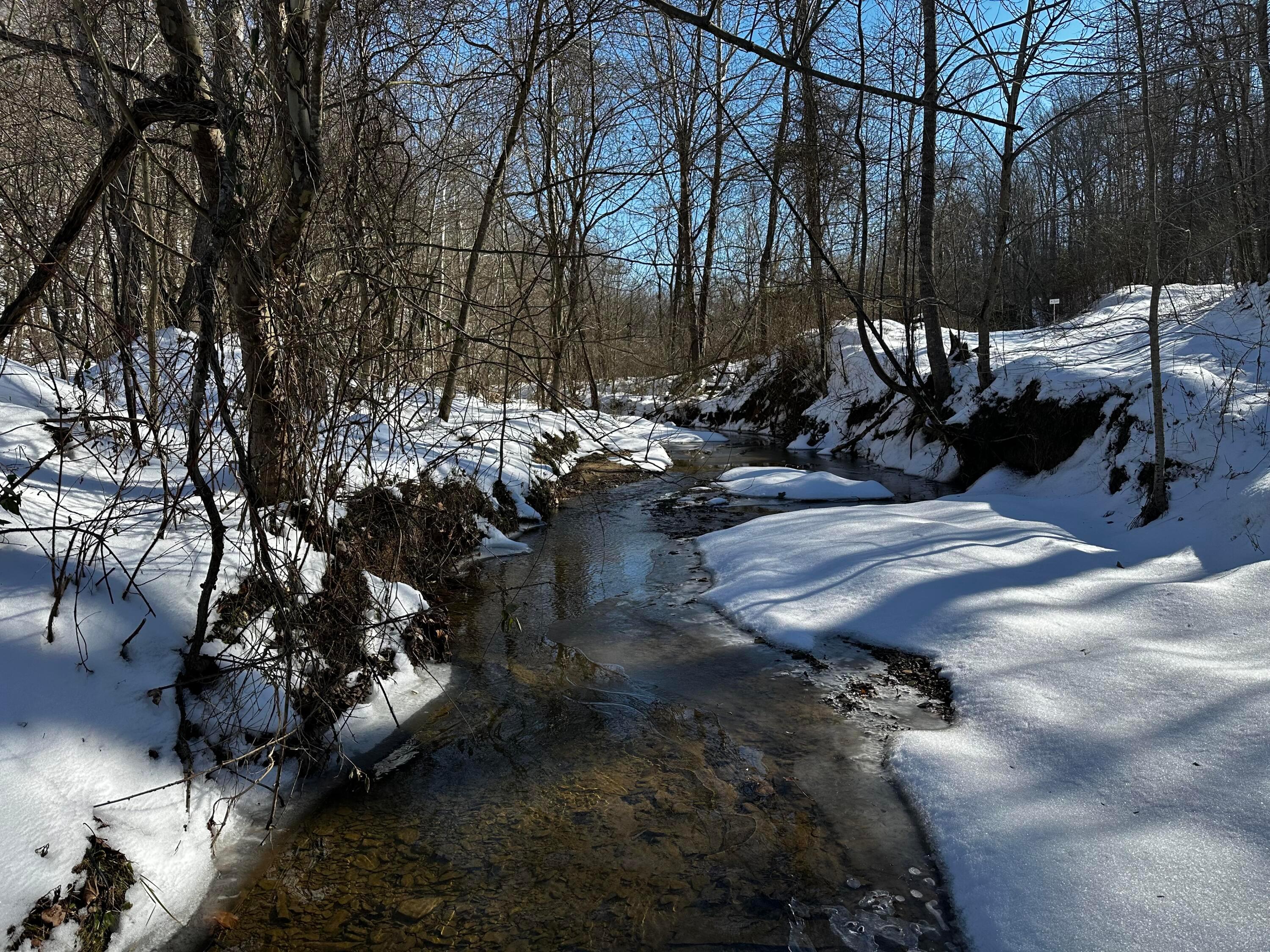 1529 Hull Road #TRACT 7 WOODS WAYNE FORE, Patriot, Ohio image 17