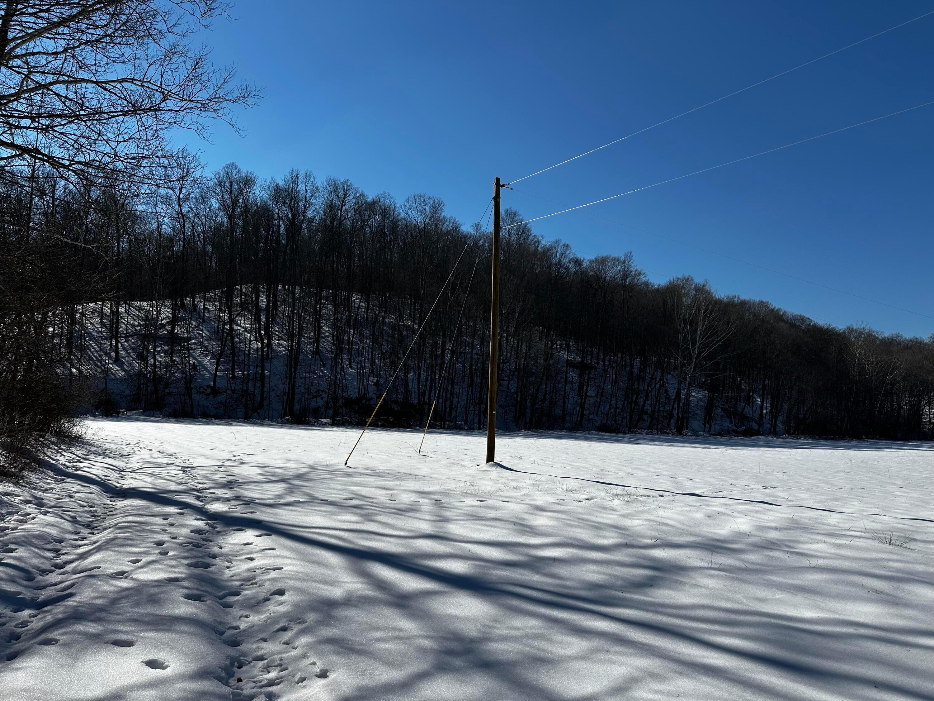 1529 Hull Road #TRACT 7 WOODS WAYNE FORE, Patriot, Ohio image 11