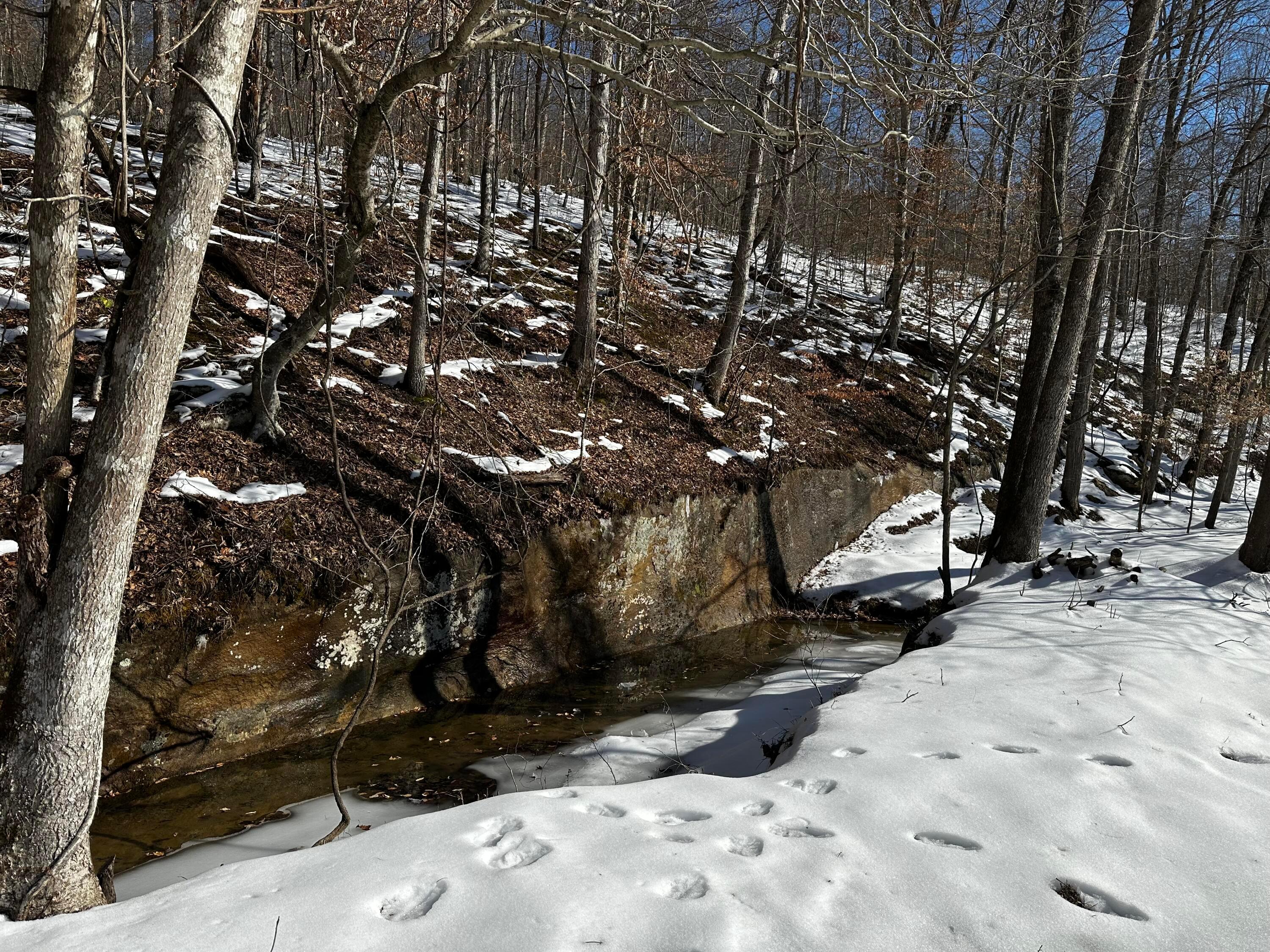 1529 Hull Road #TRACT 7 WOODS WAYNE FORE, Patriot, Ohio image 34