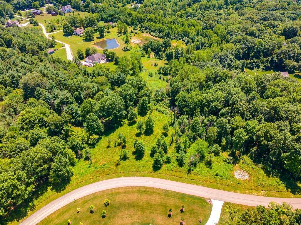 9770 Britonwoods Drive, Galena, Ohio image 3