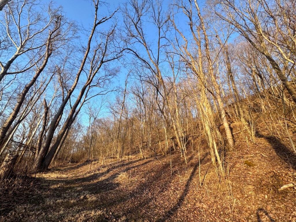 5662 N State Route 60, Mcconnelsville, Ohio image 24