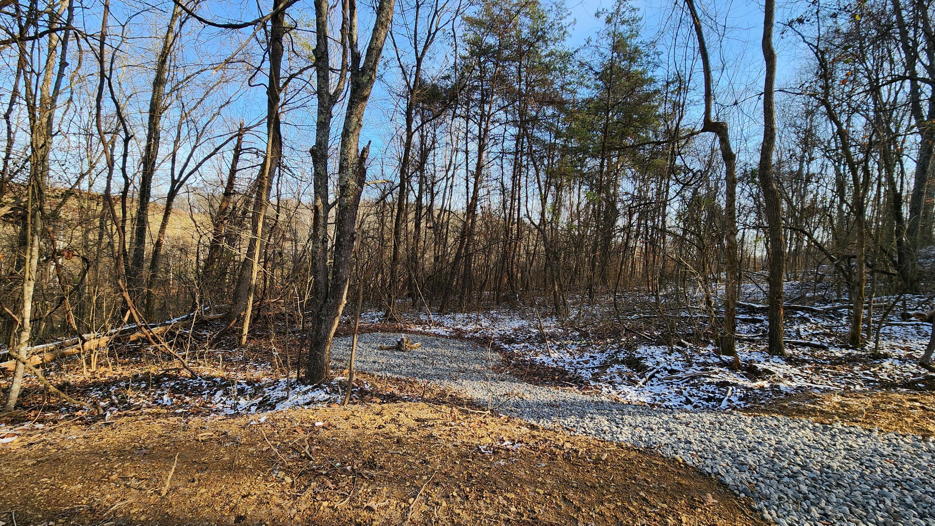 Red Hill Road #7 ACRES AT BIG TIMBER, Langsville, Ohio image 7