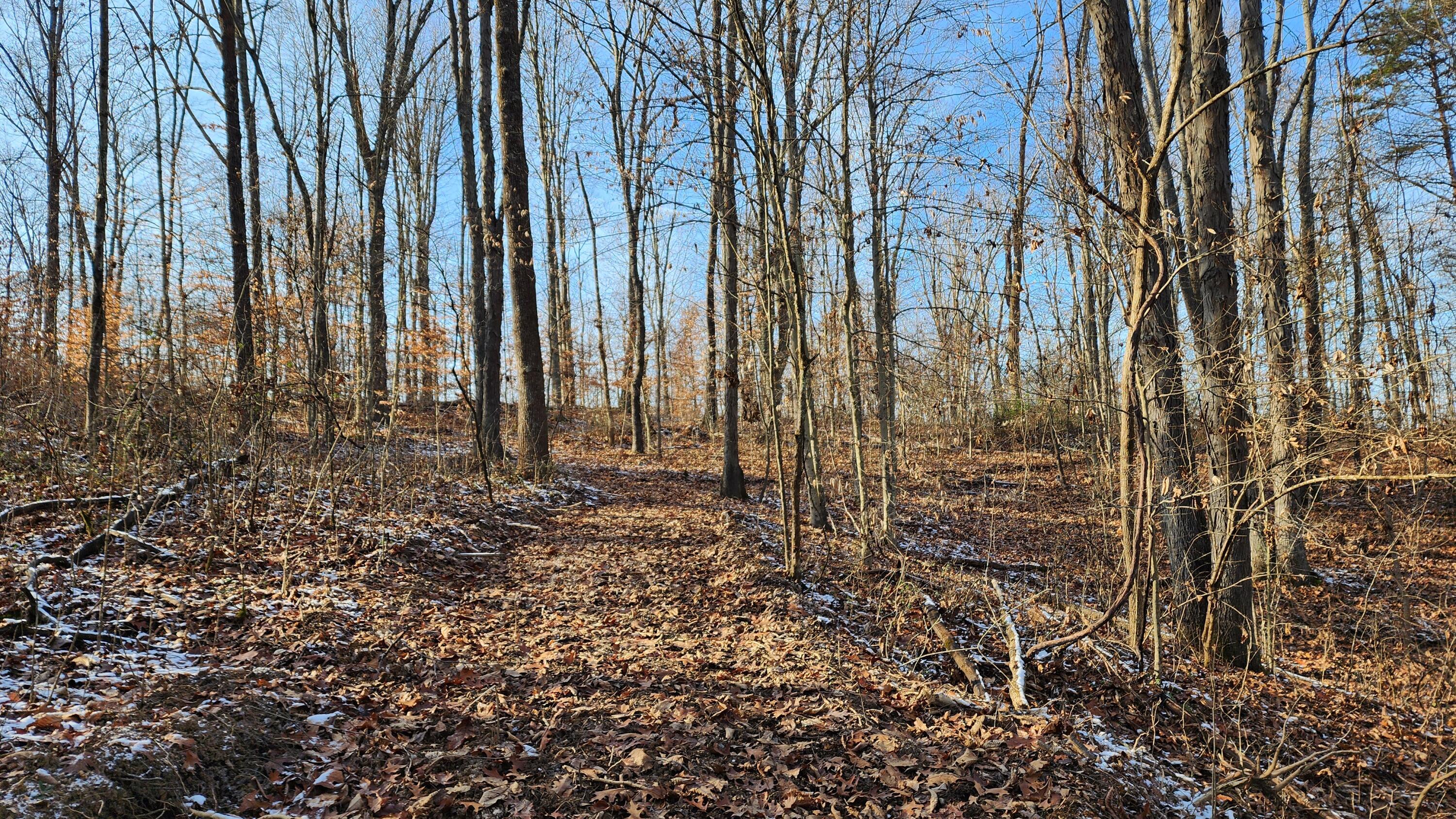 Red Hill Road #7 ACRES AT BIG TIMBER, Langsville, Ohio image 20