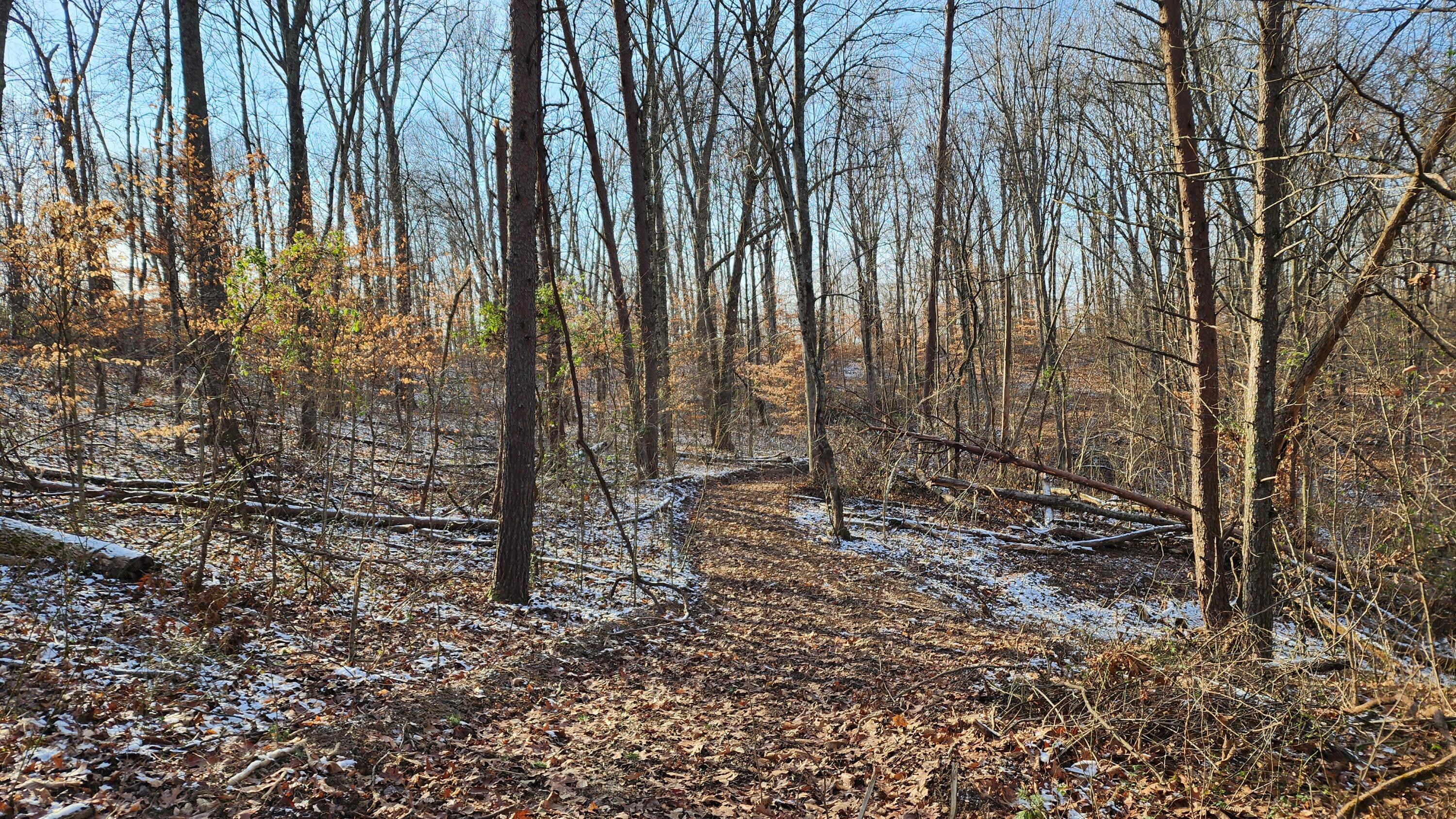 Red Hill Road #7 ACRES AT BIG TIMBER, Langsville, Ohio image 16