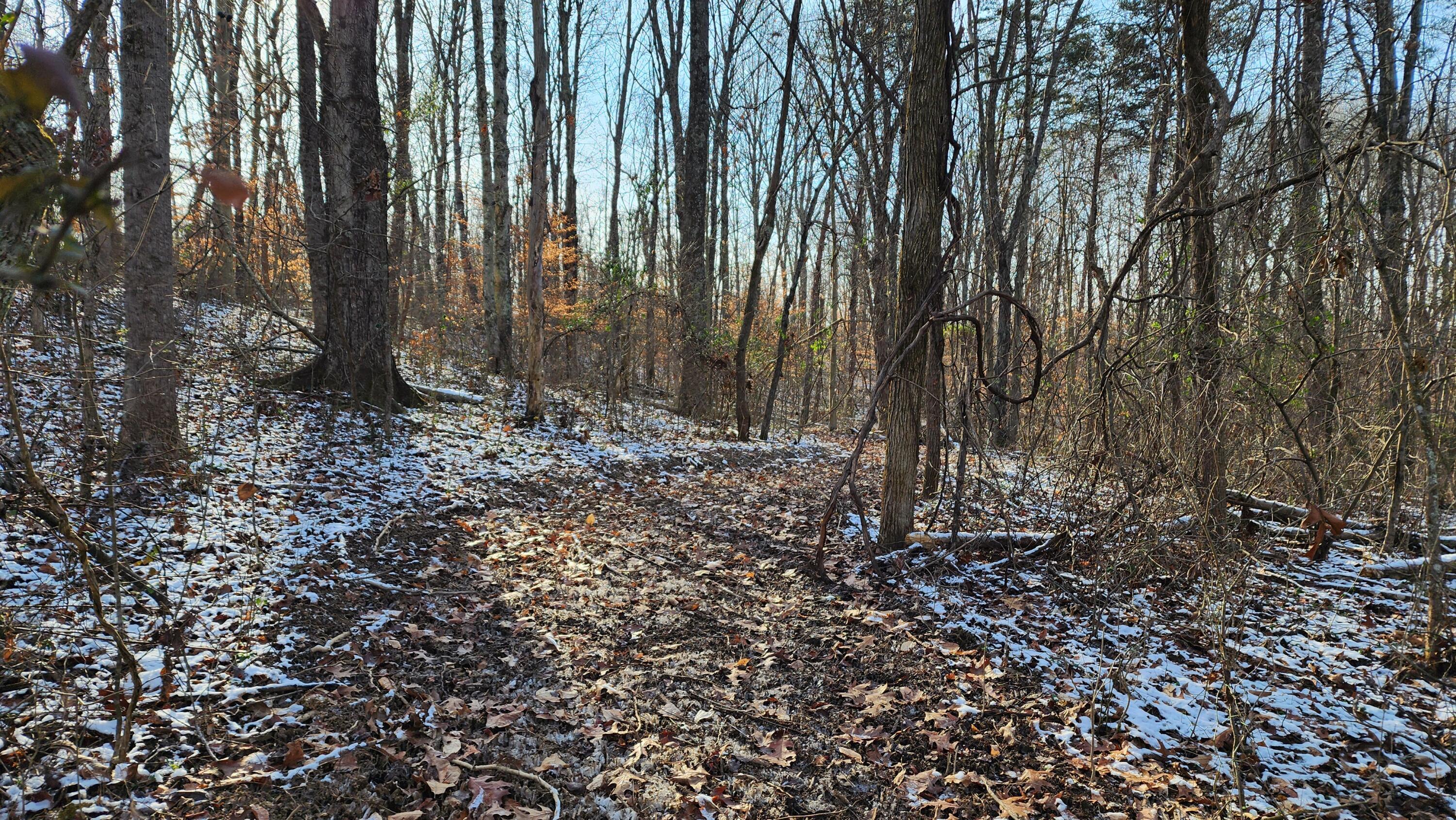 Red Hill Road #7 ACRES AT BIG TIMBER, Langsville, Ohio image 29