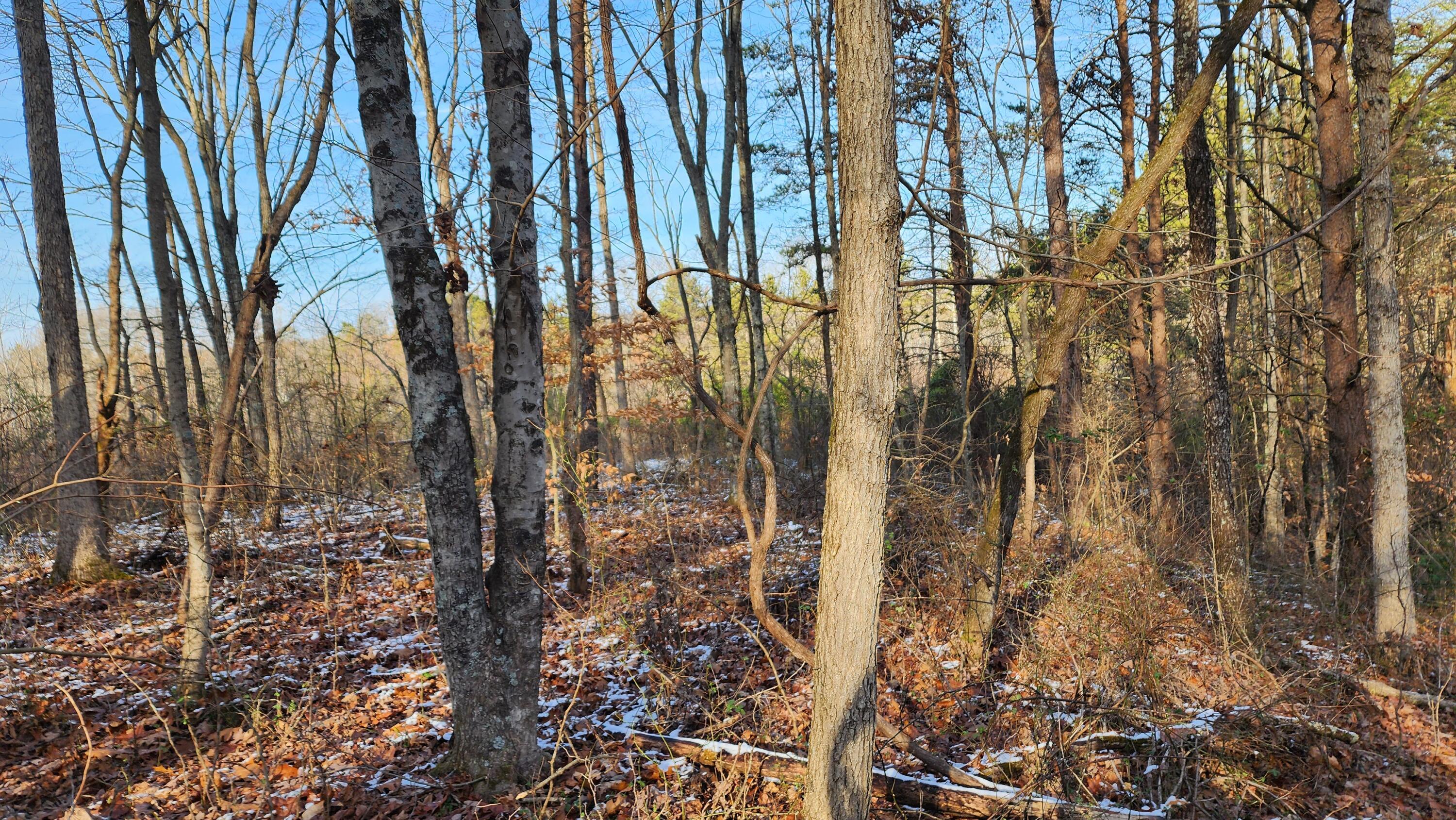 Red Hill Road #7 ACRES AT BIG TIMBER, Langsville, Ohio image 25
