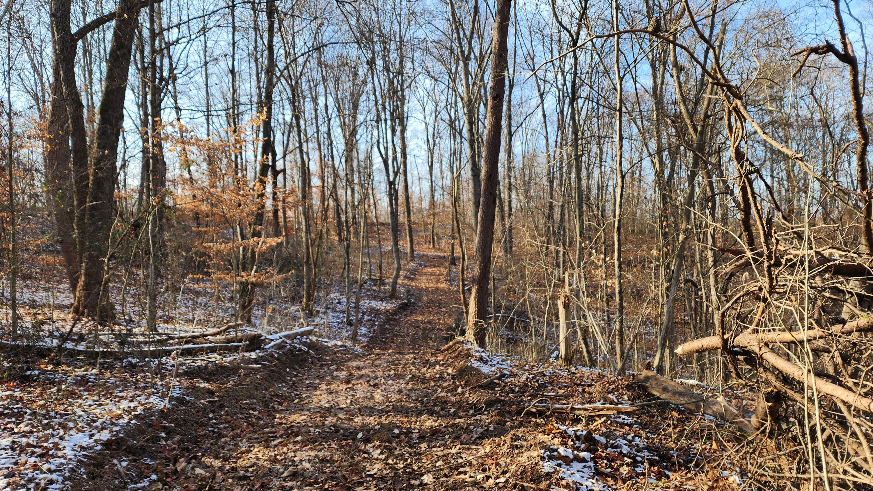 Red Hill Road #7 ACRES AT BIG TIMBER, Langsville, Ohio image 19