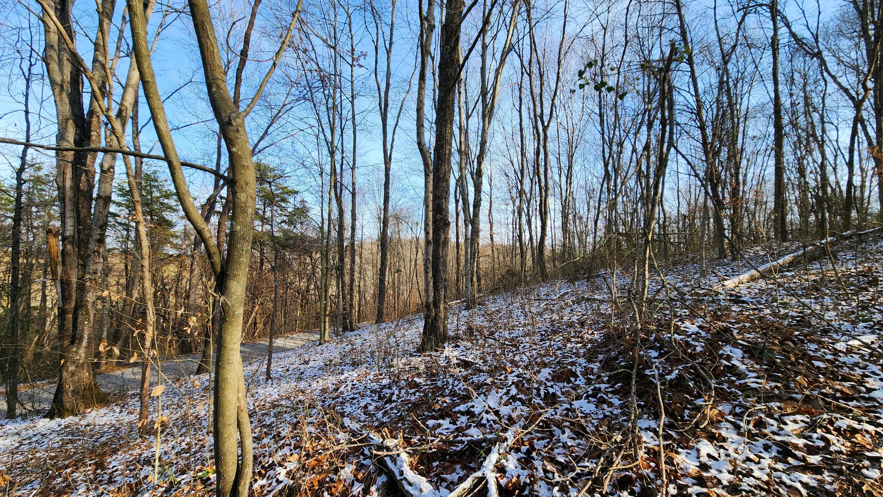 Red Hill Road #7 ACRES AT BIG TIMBER, Langsville, Ohio image 3