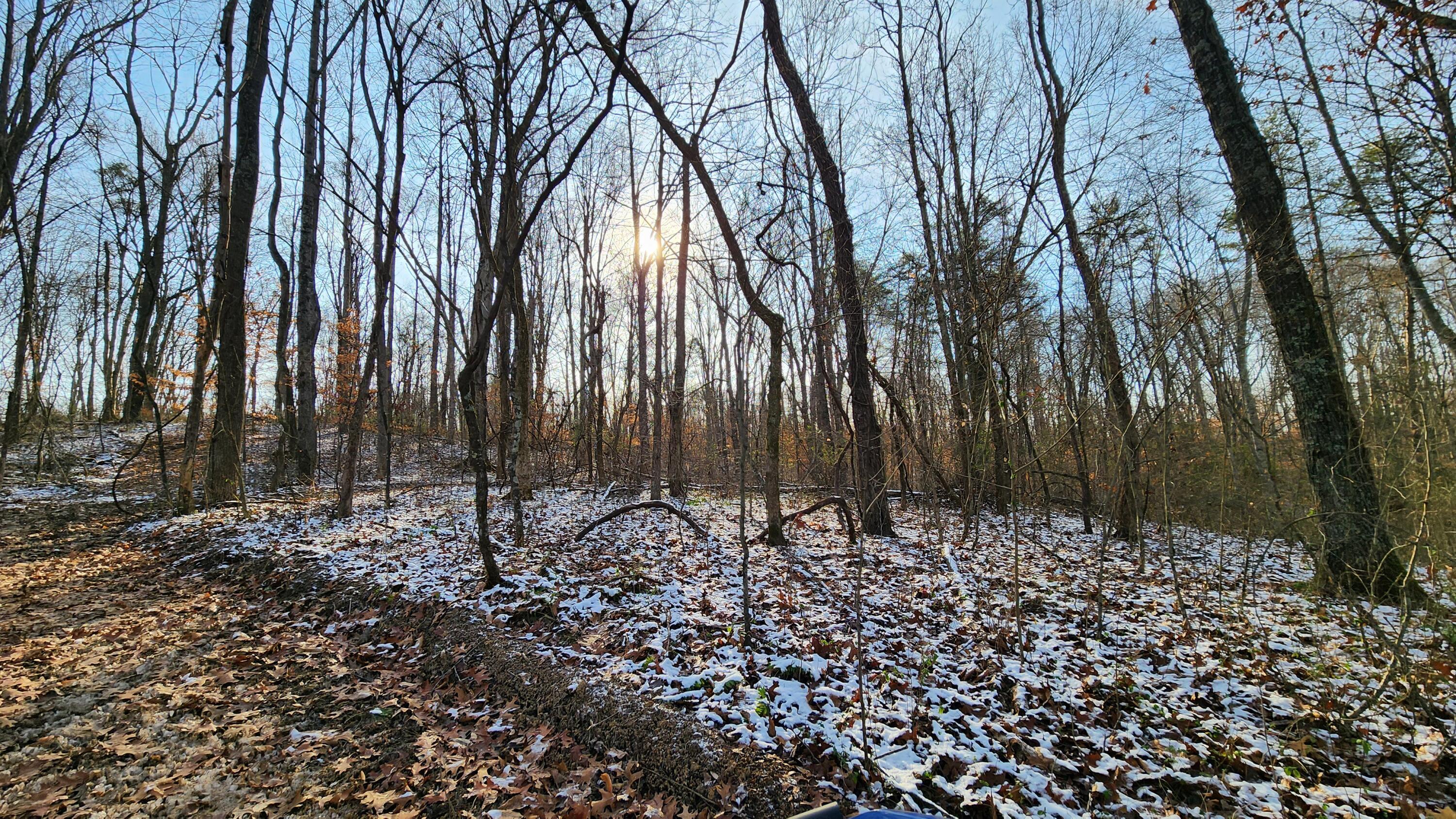 Red Hill Road #7 ACRES AT BIG TIMBER, Langsville, Ohio image 12