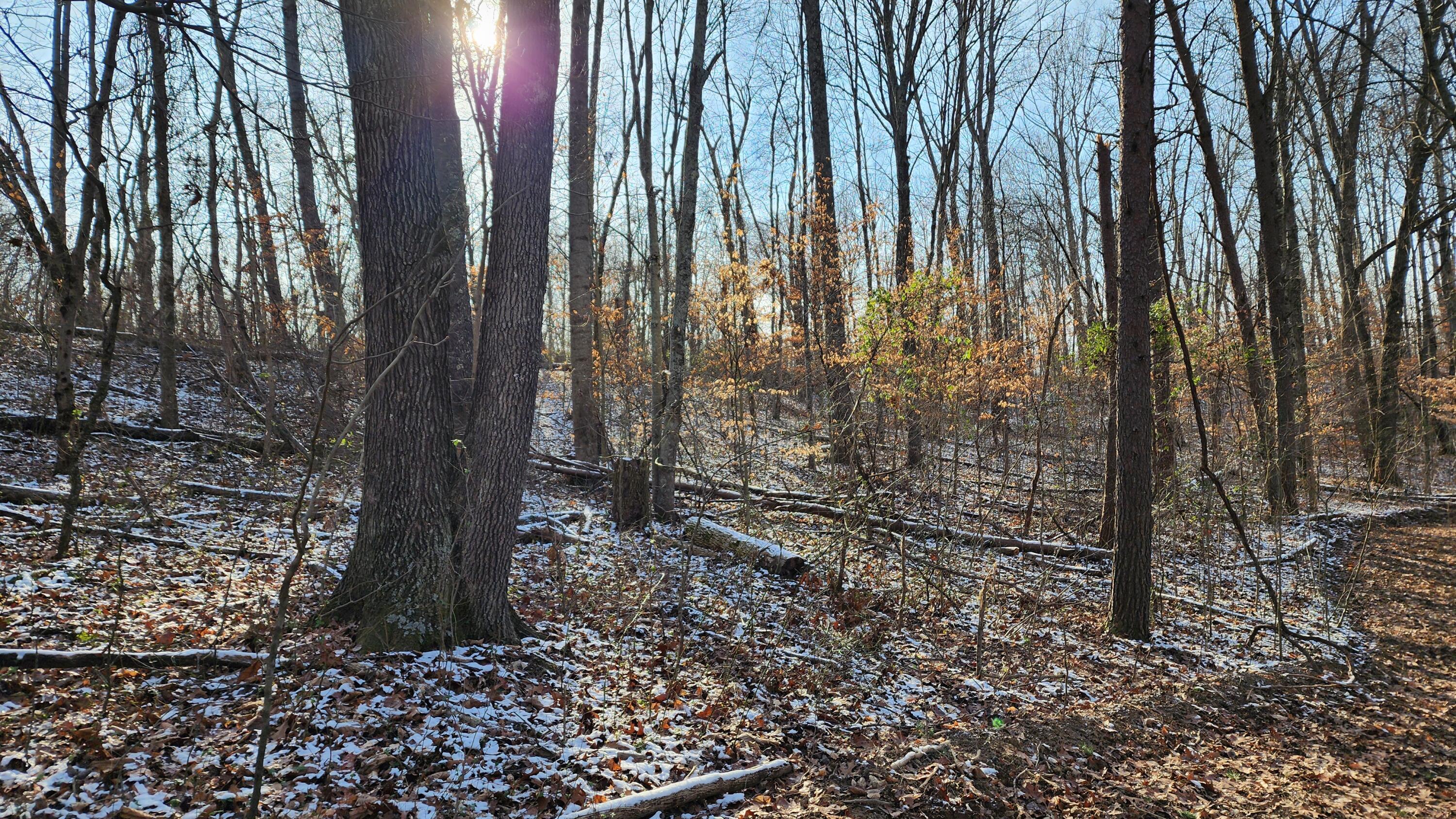 Red Hill Road #7 ACRES AT BIG TIMBER, Langsville, Ohio image 15