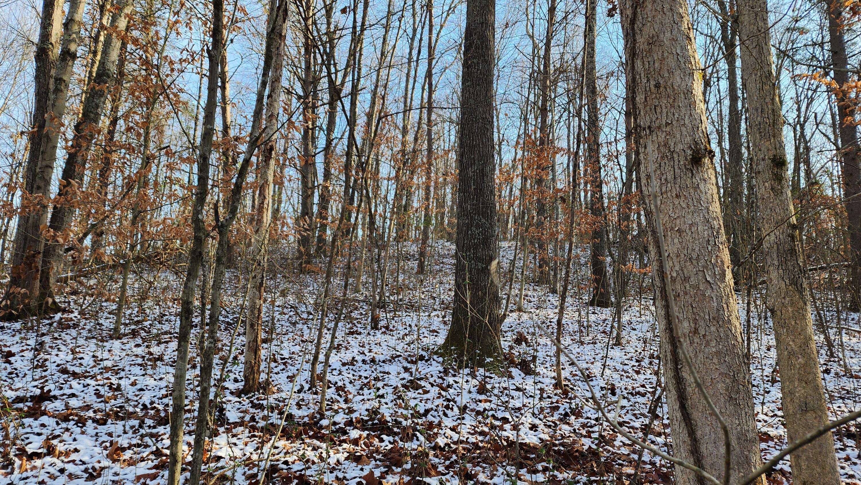 Red Hill Road #7 ACRES AT BIG TIMBER, Langsville, Ohio image 28