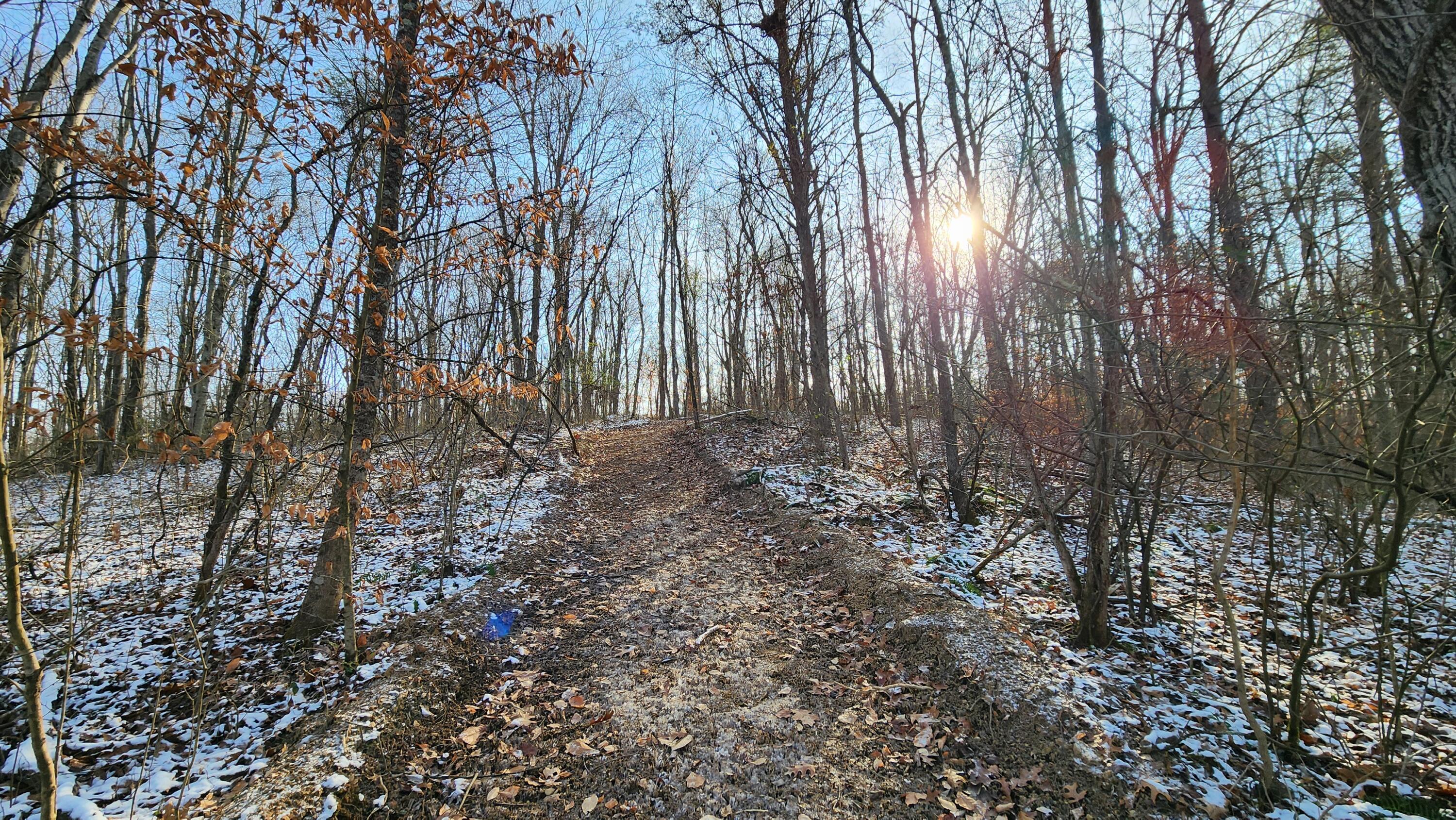 Red Hill Road #7 ACRES AT BIG TIMBER, Langsville, Ohio image 10