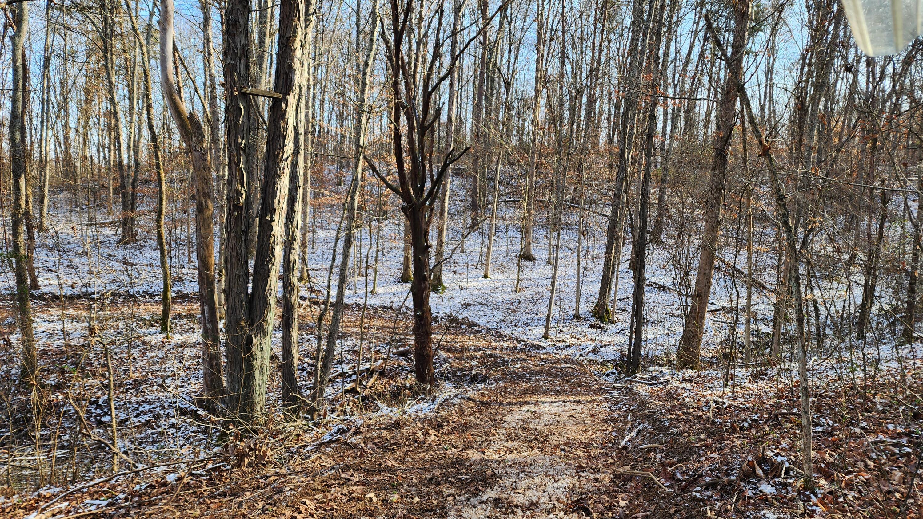 Red Hill Road #7 ACRES AT BIG TIMBER, Langsville, Ohio image 26