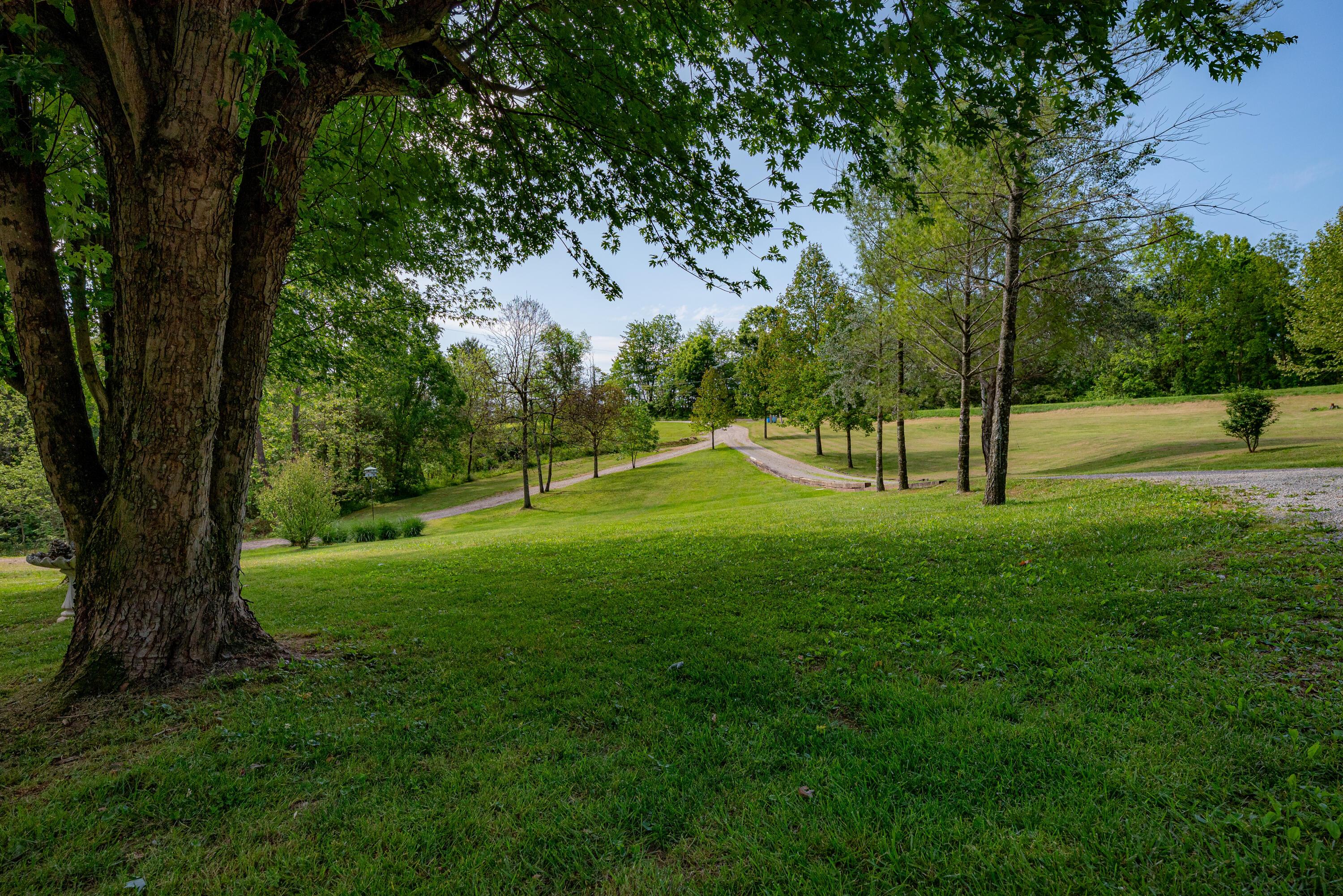 462 Hartsook Road Road