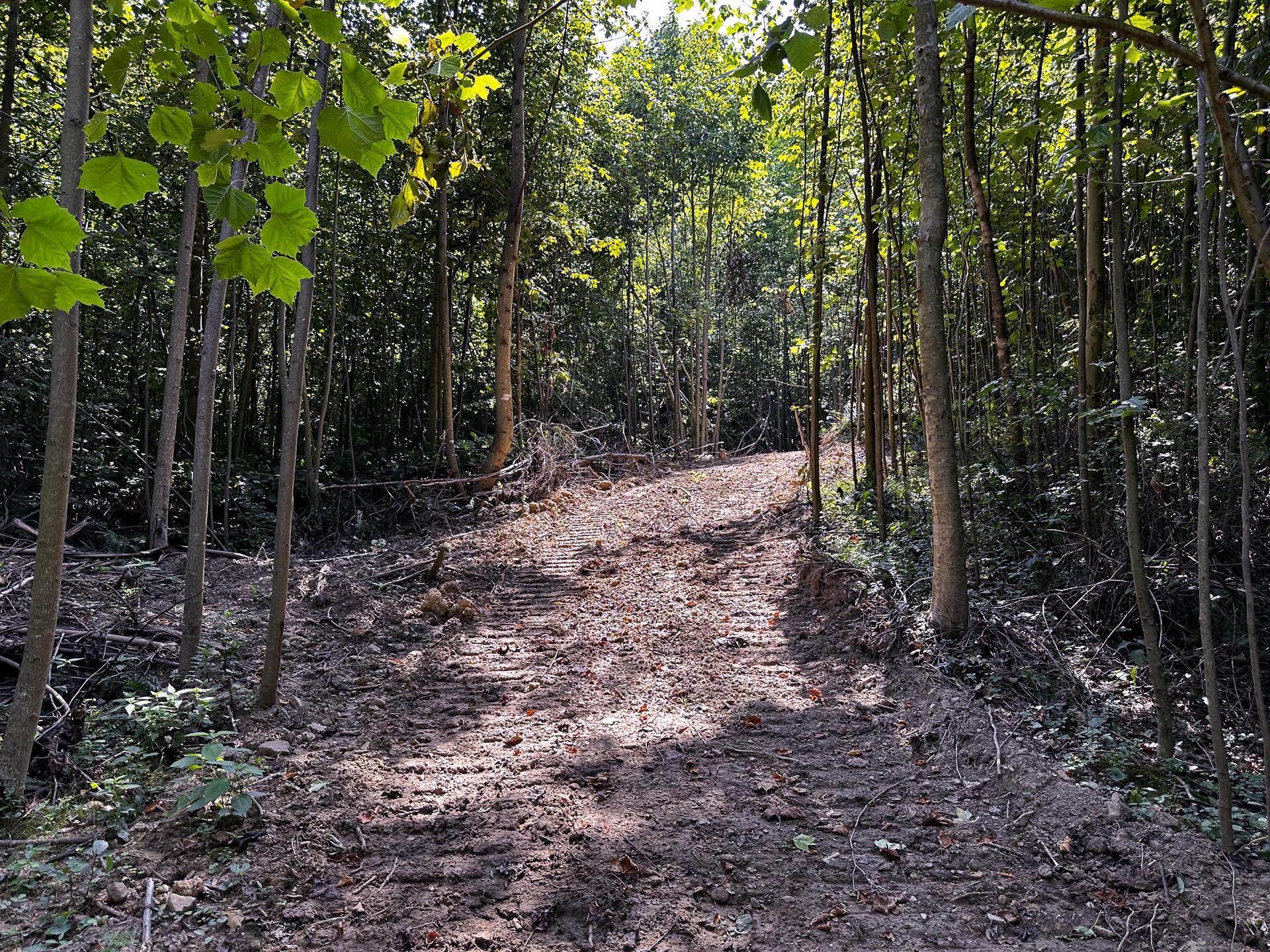 32254 Titus Road #TRACT 2 AT TITUS, Langsville, Ohio image 19