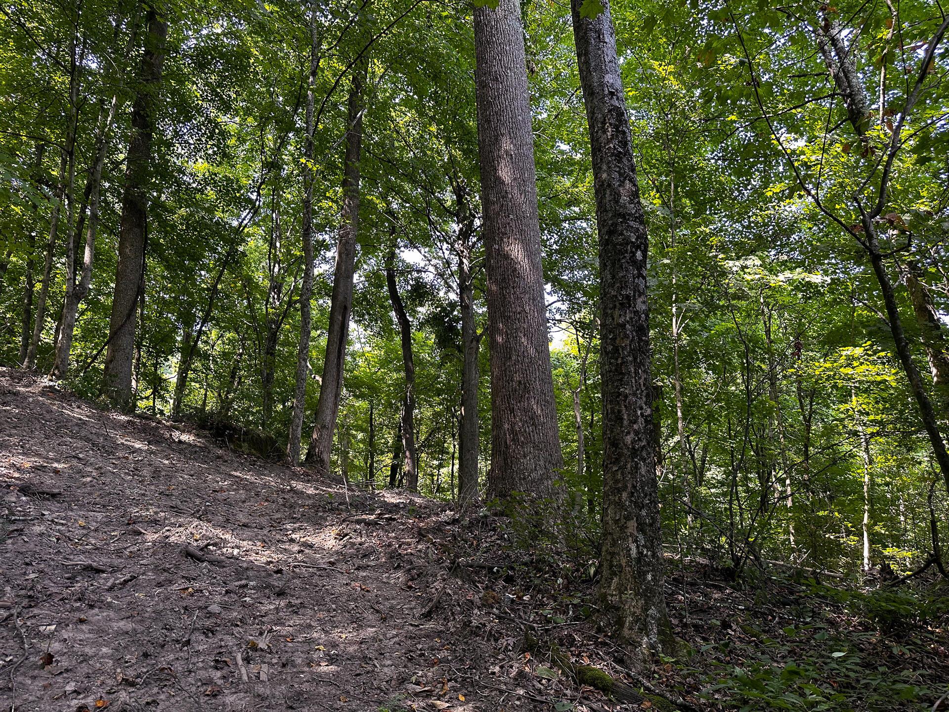 32254 Titus Road #TRACT 2 AT TITUS, Langsville, Ohio image 21
