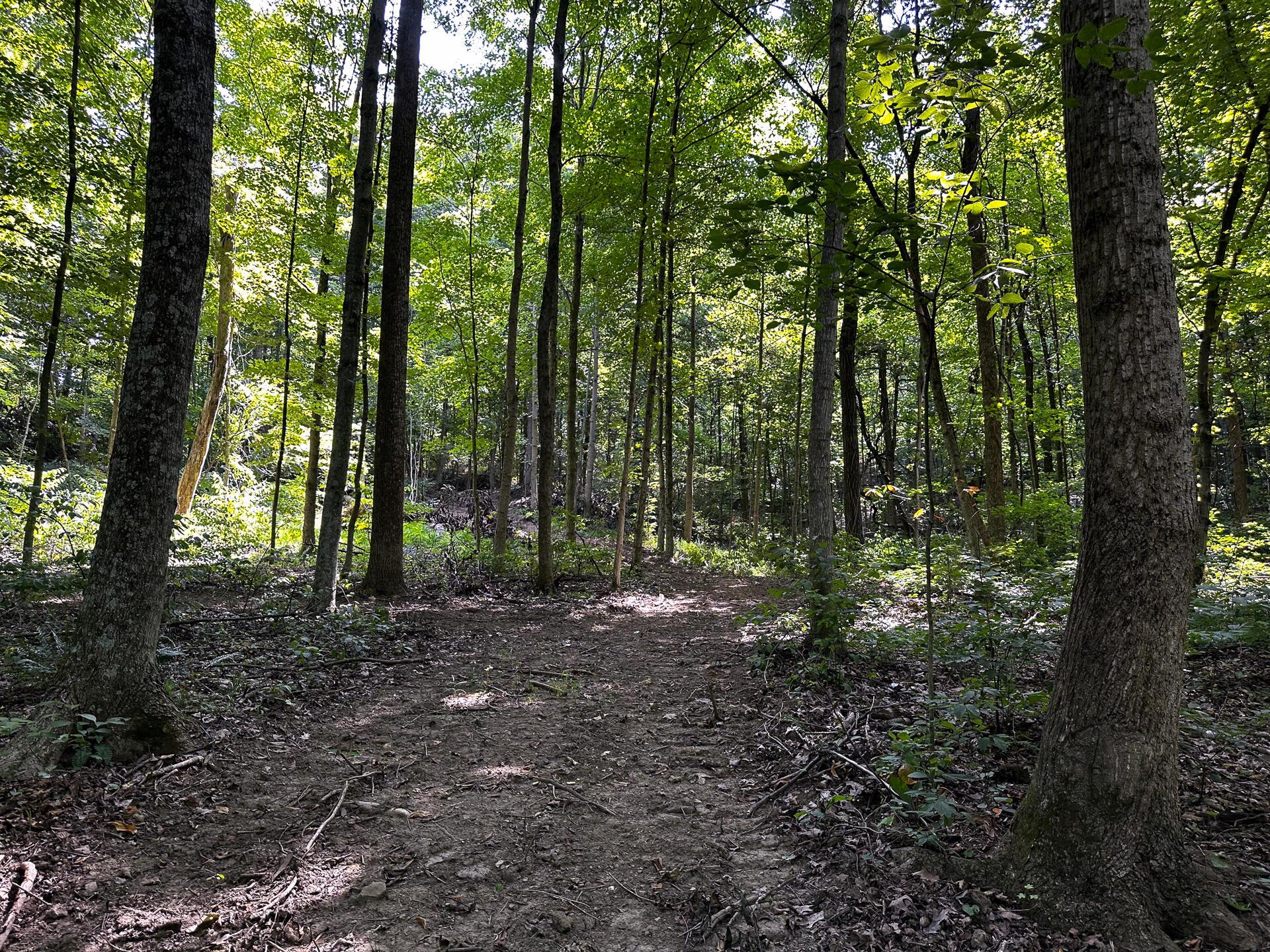 32254 Titus Road #TRACT 2 AT TITUS, Langsville, Ohio image 11