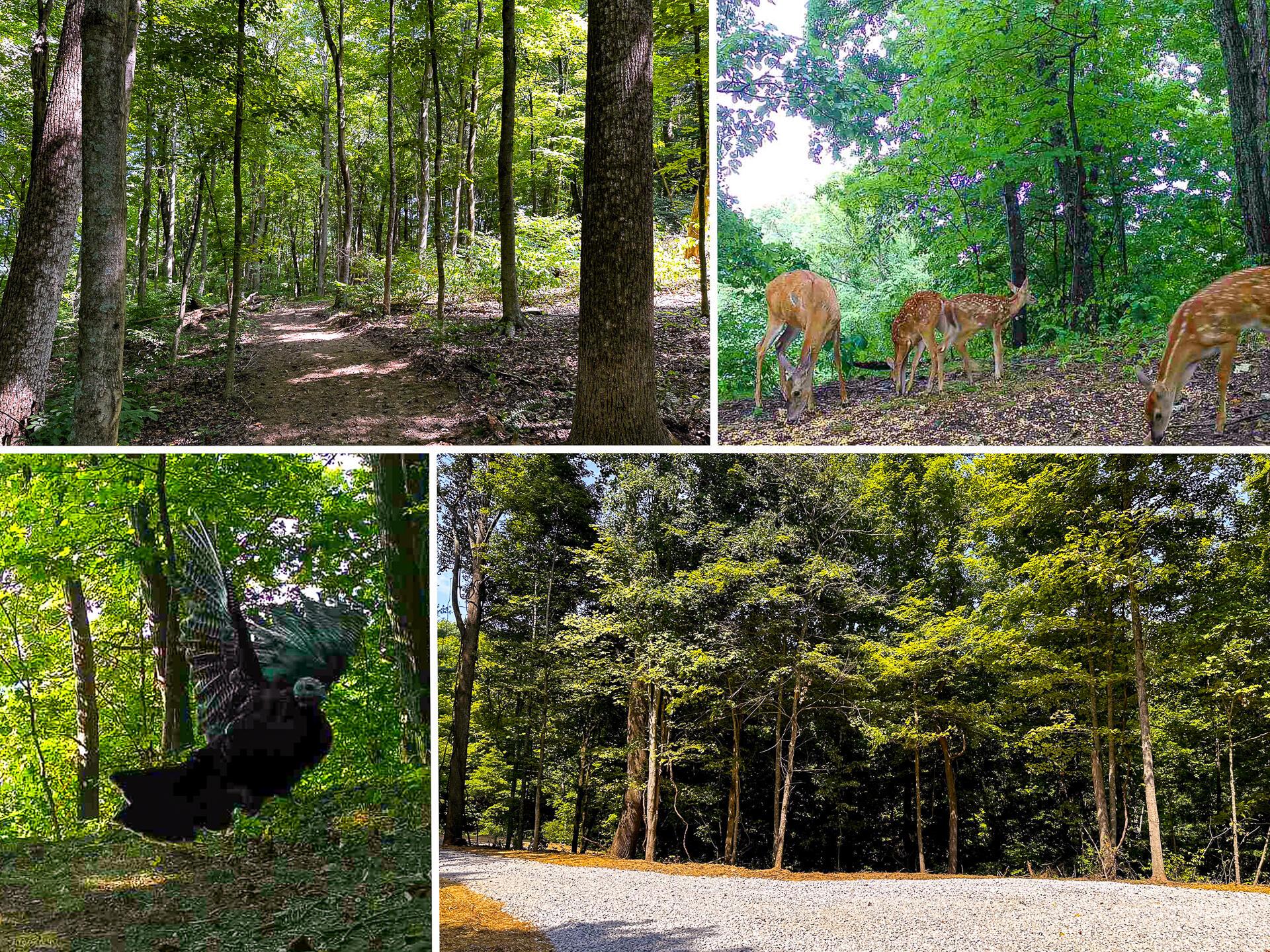 32254 Titus Road #TRACT 2 AT TITUS, Langsville, Ohio image 1