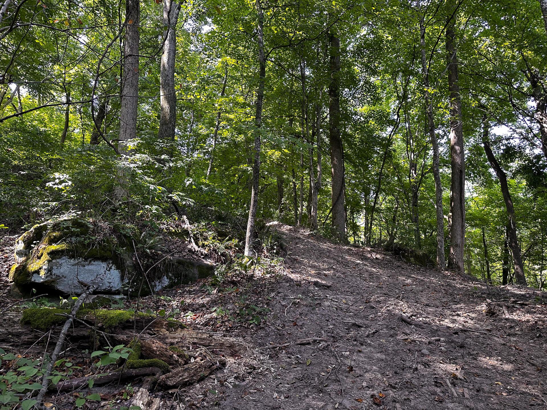 32254 Titus Road #TRACT 2 AT TITUS, Langsville, Ohio image 7