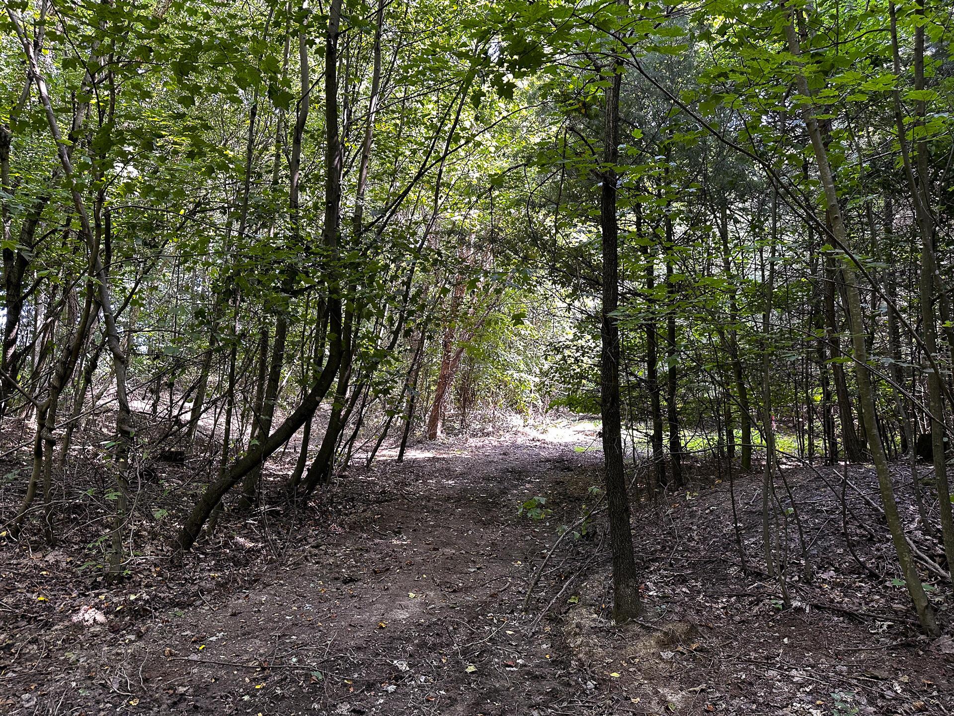 32254 Titus Road #TRACT 2 AT TITUS, Langsville, Ohio image 33