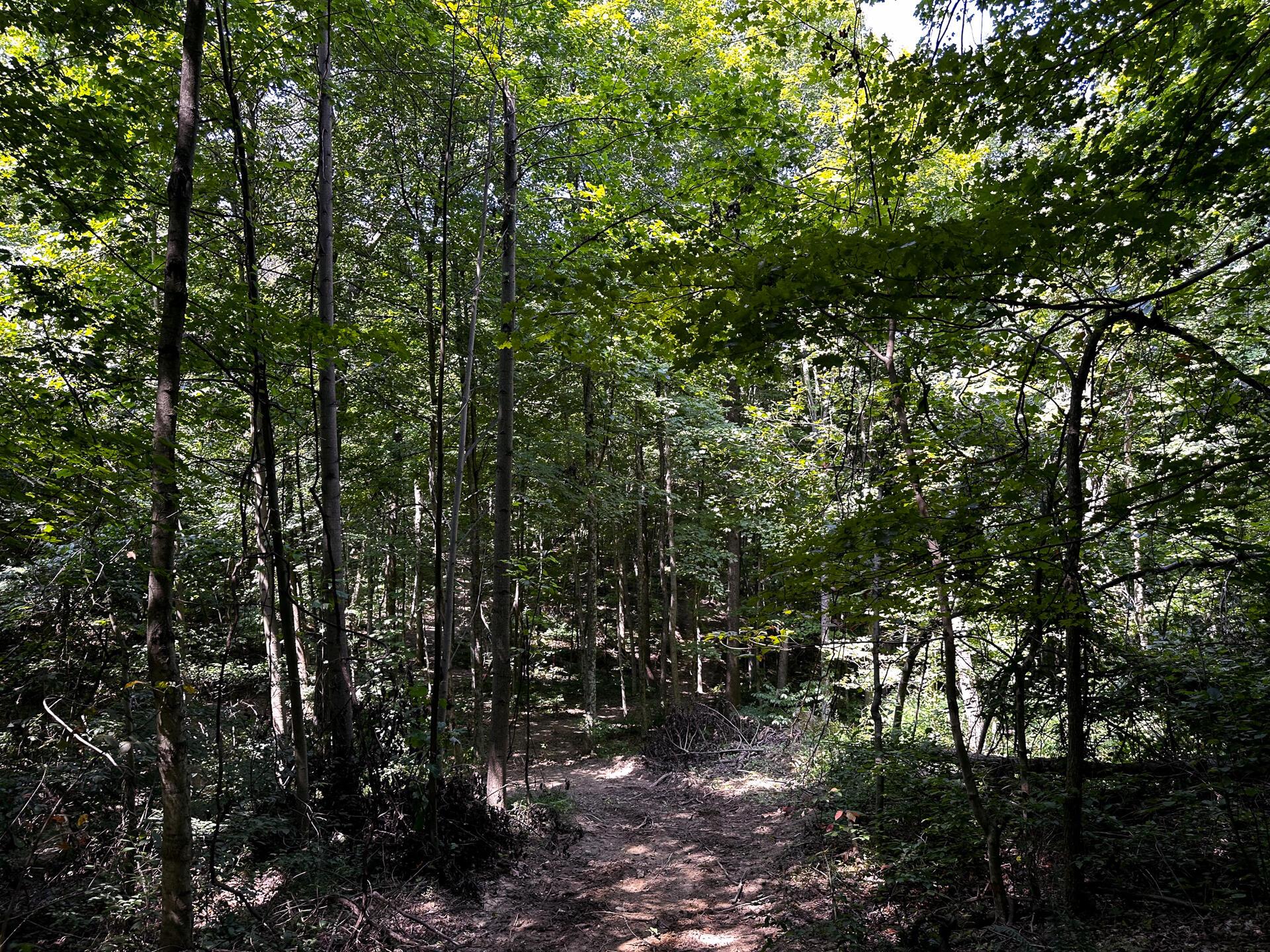 32254 Titus Road #TRACT 2 AT TITUS, Langsville, Ohio image 36