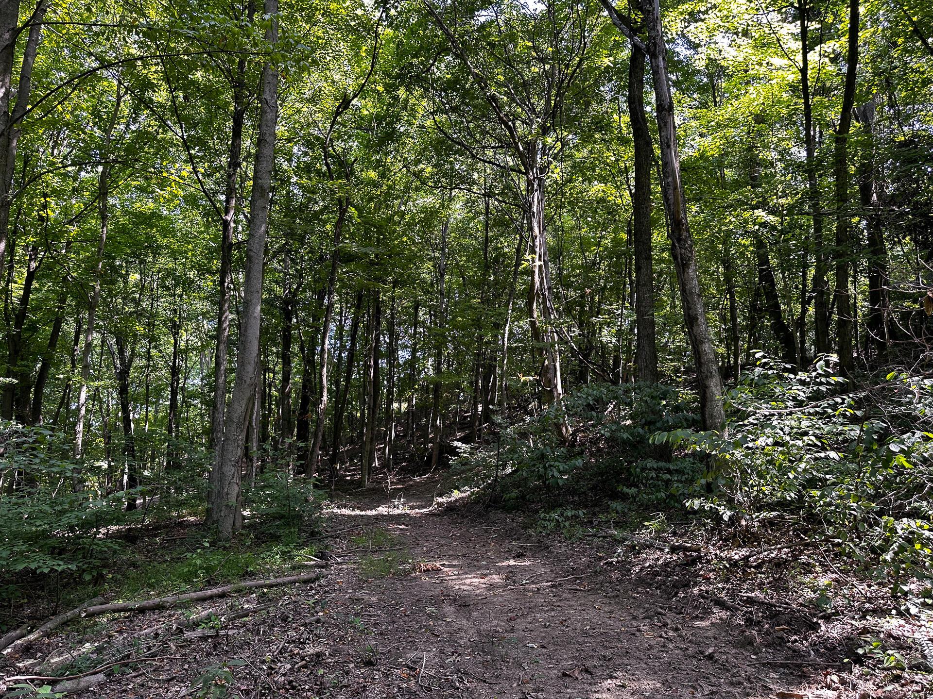 32254 Titus Road #TRACT 2 AT TITUS, Langsville, Ohio image 40