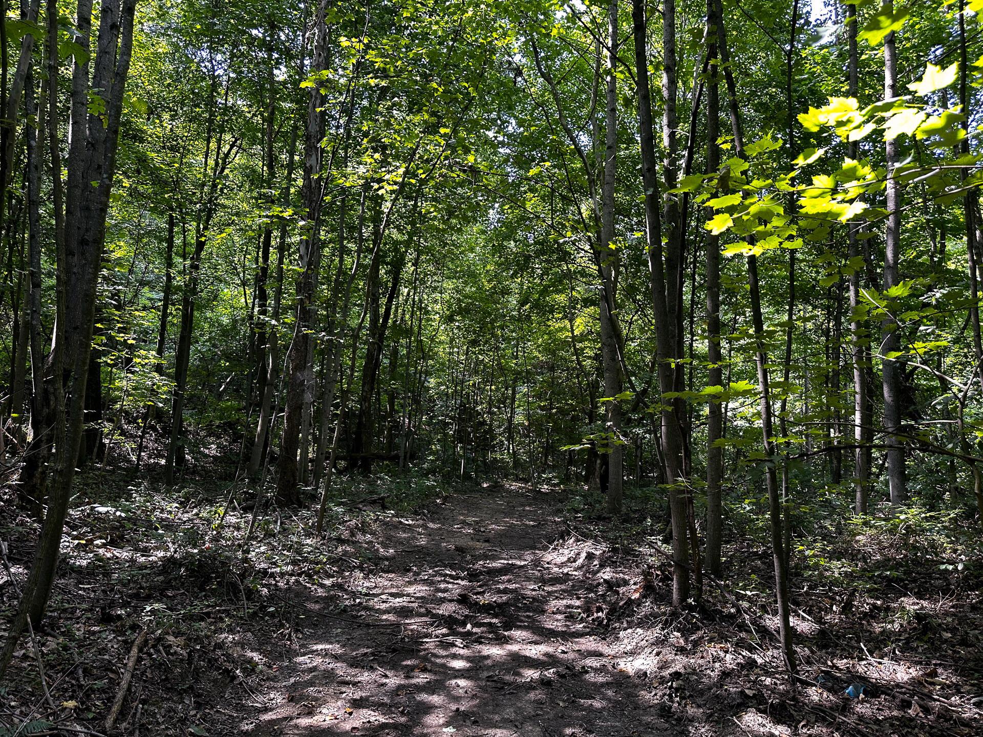 32254 Titus Road #TRACT 2 AT TITUS, Langsville, Ohio image 34