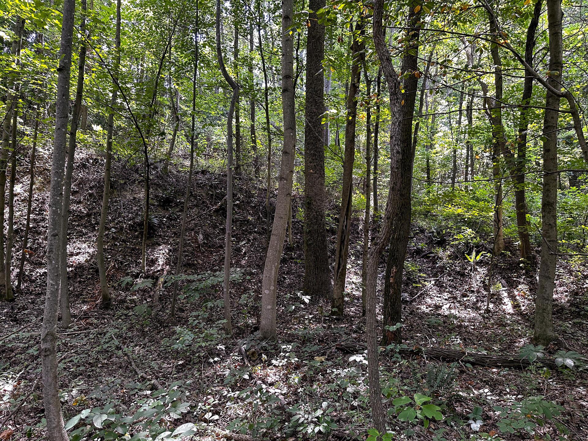32254 Titus Road #TRACT 2 AT TITUS, Langsville, Ohio image 32