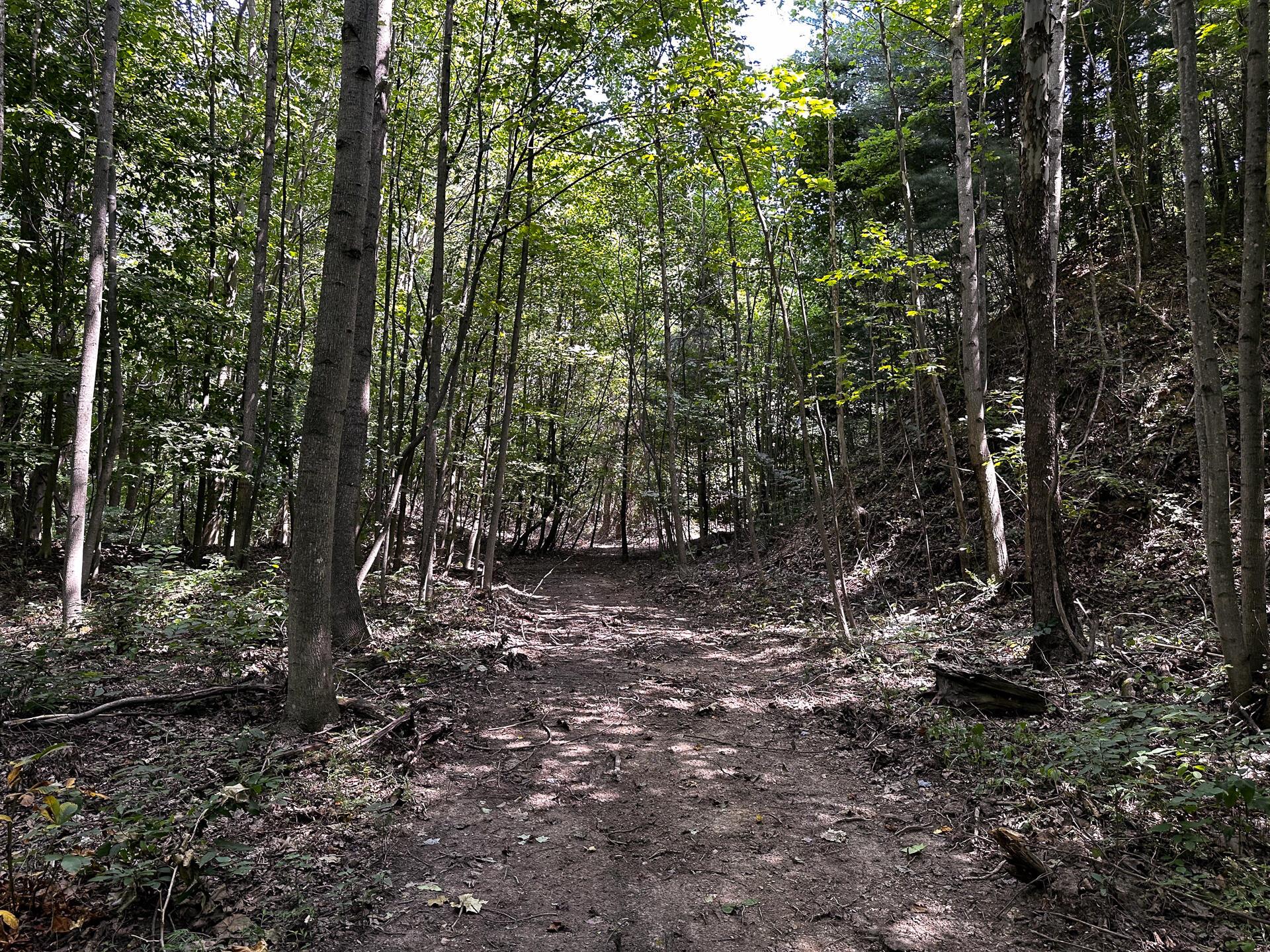 32254 Titus Road #TRACT 2 AT TITUS, Langsville, Ohio image 31