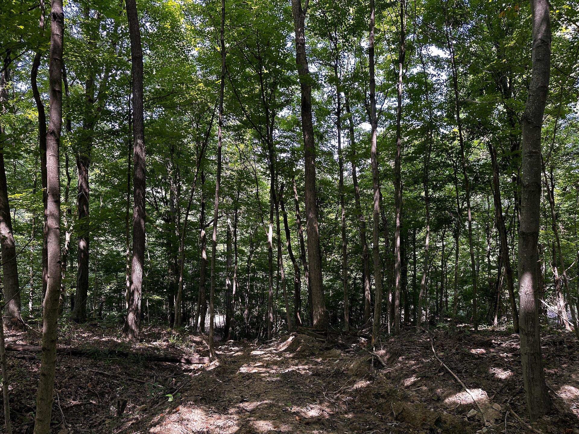 32254 Titus Road #TRACT 2 AT TITUS, Langsville, Ohio image 42