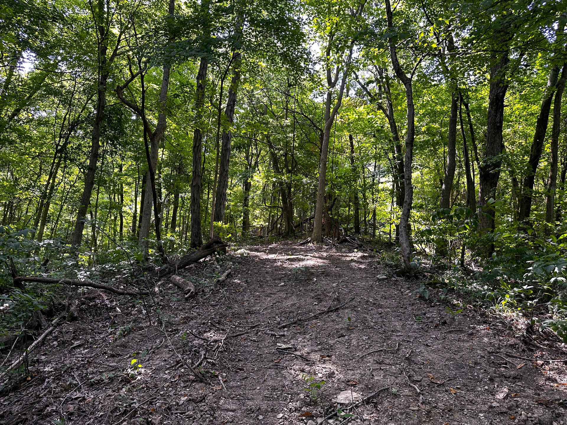 32254 Titus Road #TRACT 2 AT TITUS, Langsville, Ohio image 22