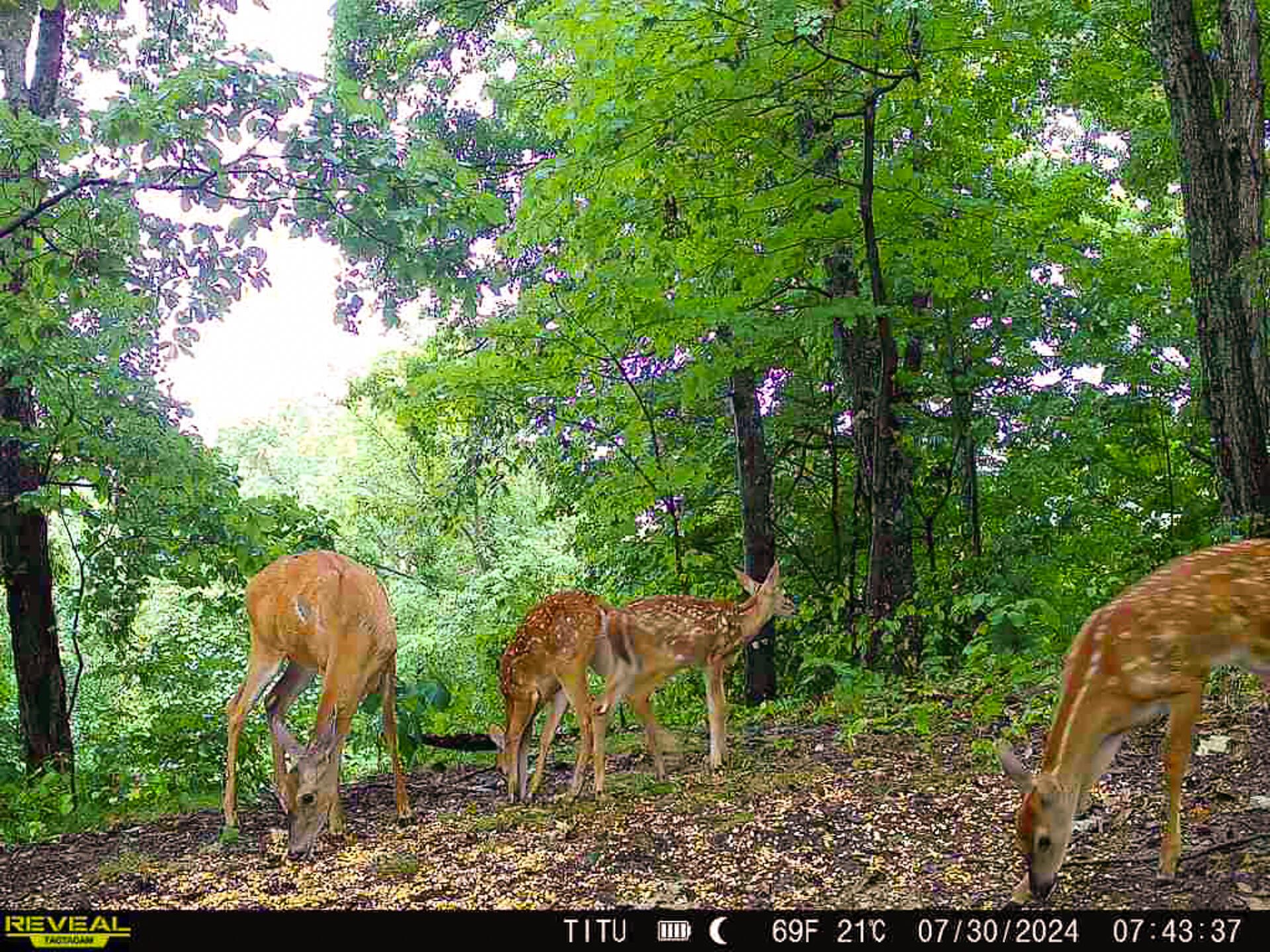 32254 Titus Road #TRACT 2 AT TITUS, Langsville, Ohio image 6