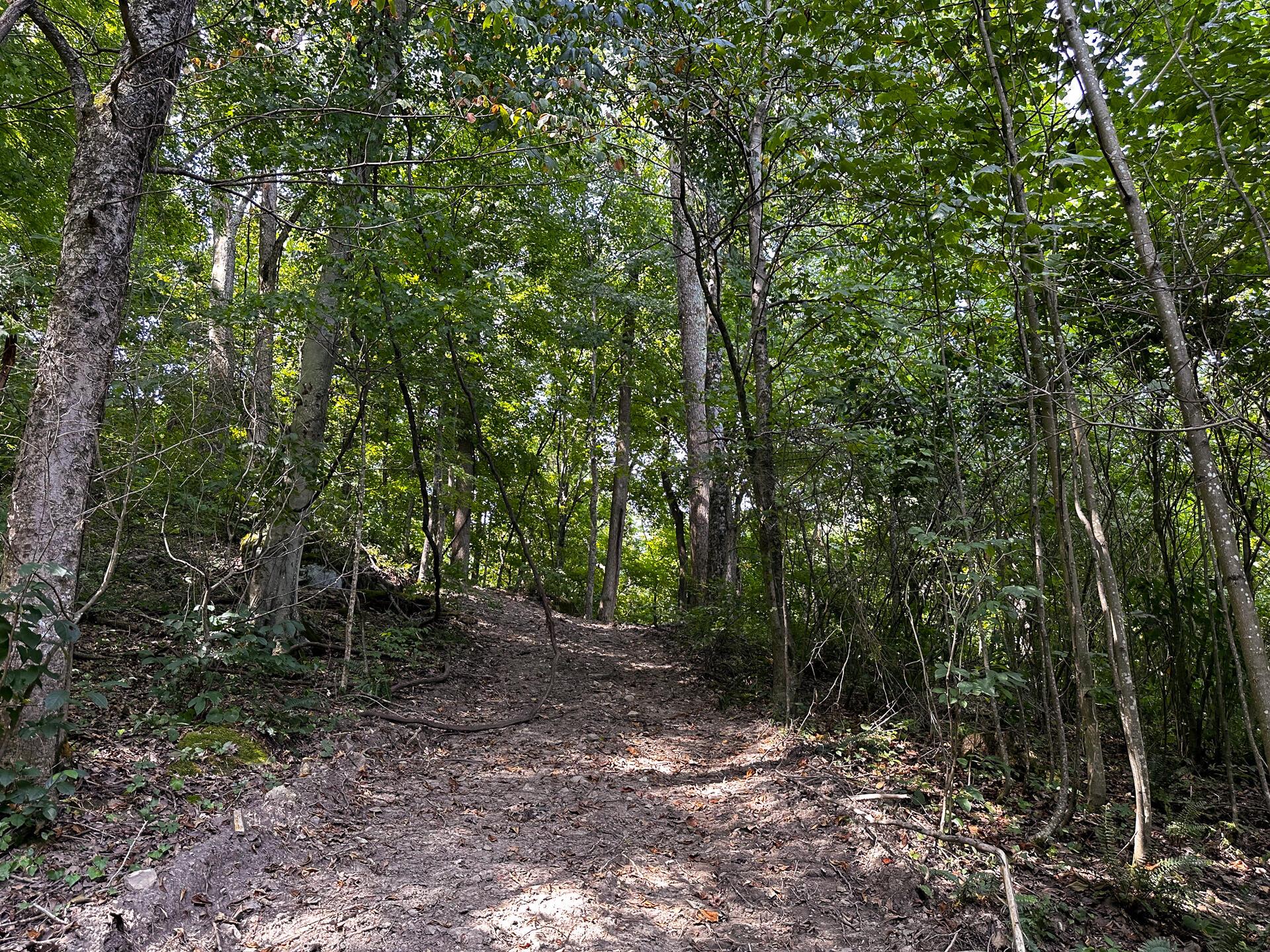 32254 Titus Road #TRACT 2 AT TITUS, Langsville, Ohio image 20