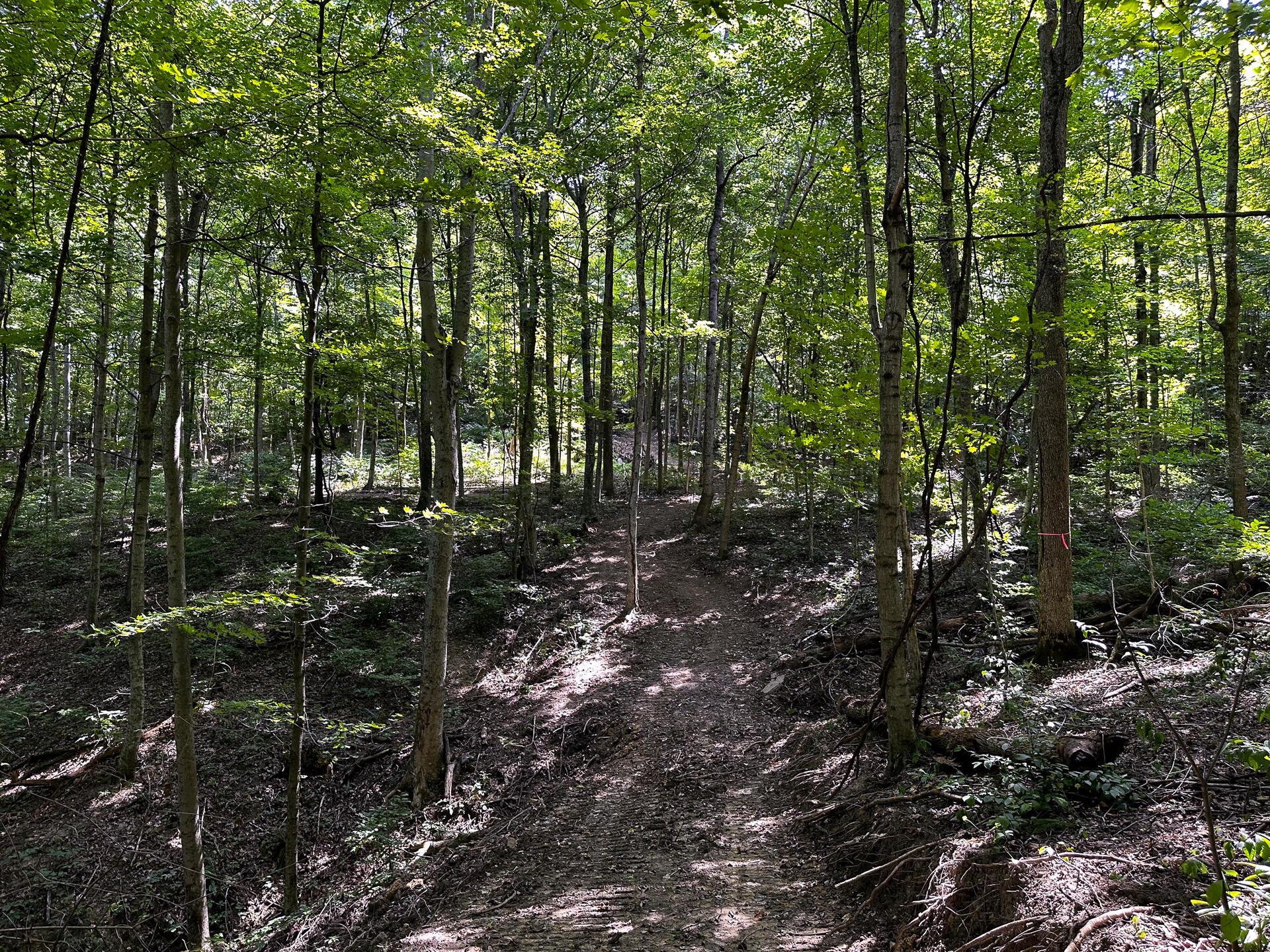 32254 Titus Road #TRACT 2 AT TITUS, Langsville, Ohio image 9