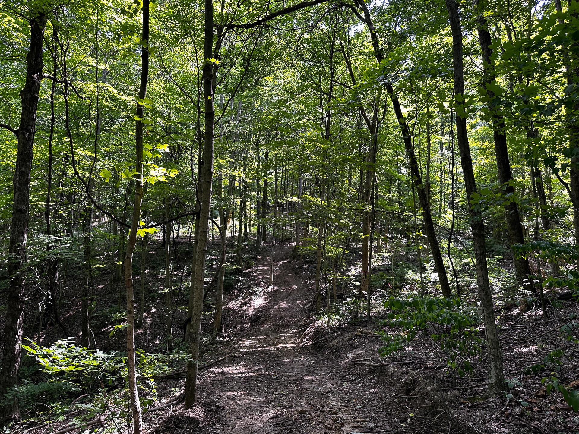 32254 Titus Road #TRACT 2 AT TITUS, Langsville, Ohio image 26
