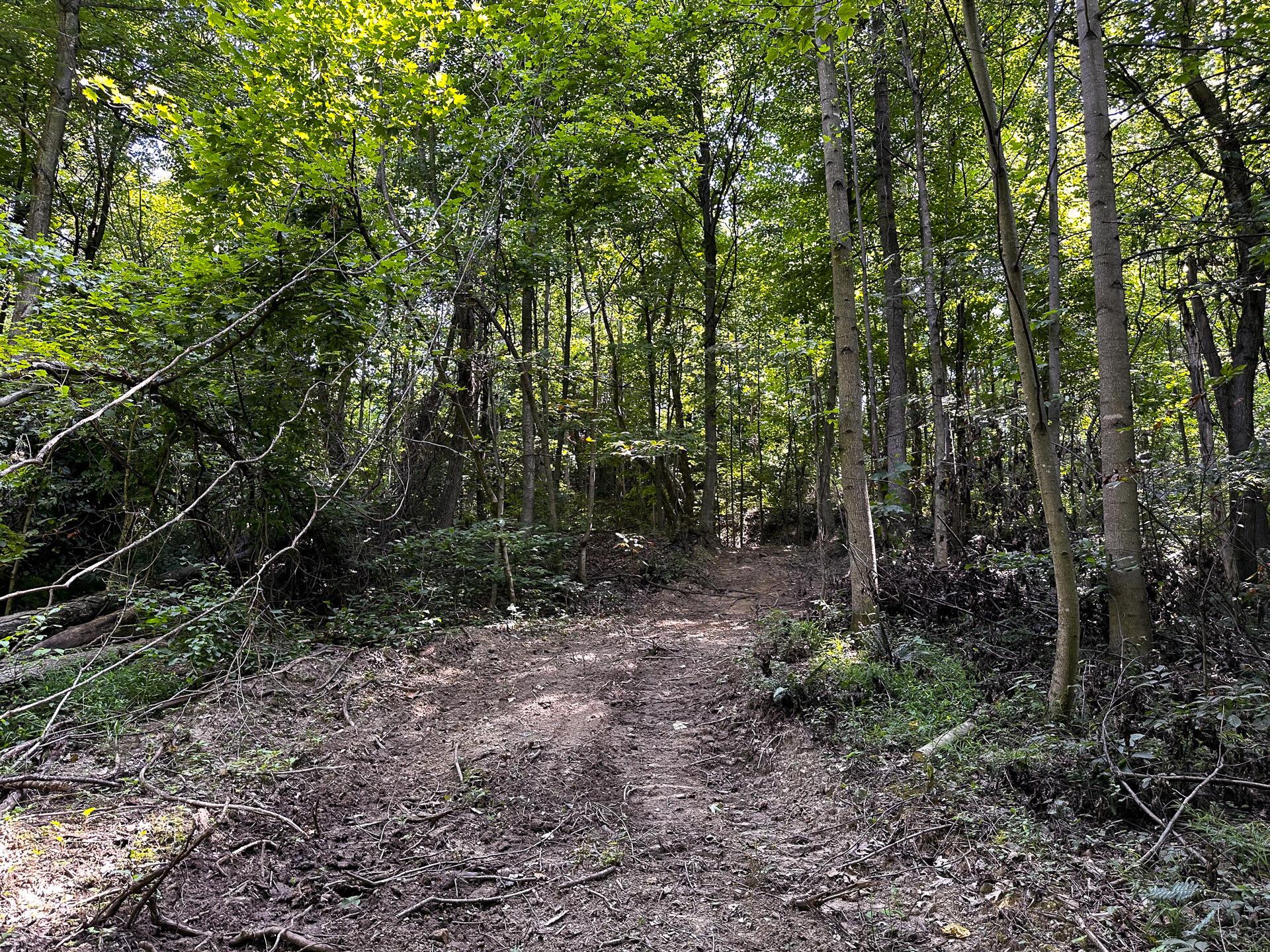 32254 Titus Road #TRACT 2 AT TITUS, Langsville, Ohio image 30