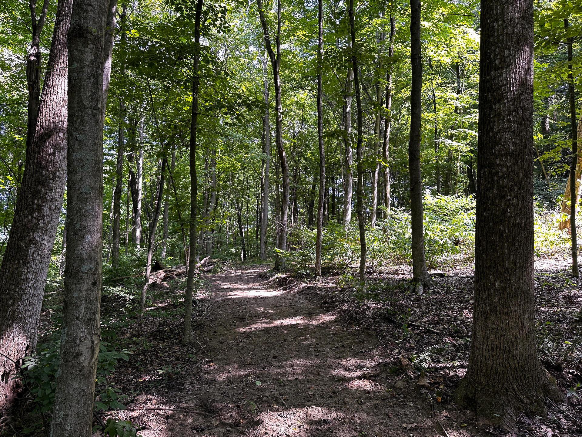 32254 Titus Road #TRACT 2 AT TITUS, Langsville, Ohio image 38