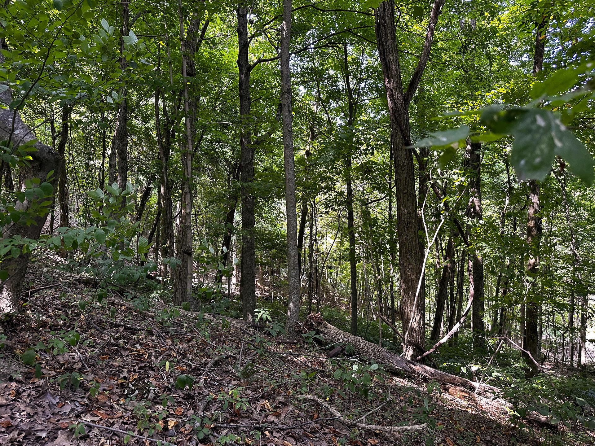 32254 Titus Road #TRACT 2 AT TITUS, Langsville, Ohio image 23