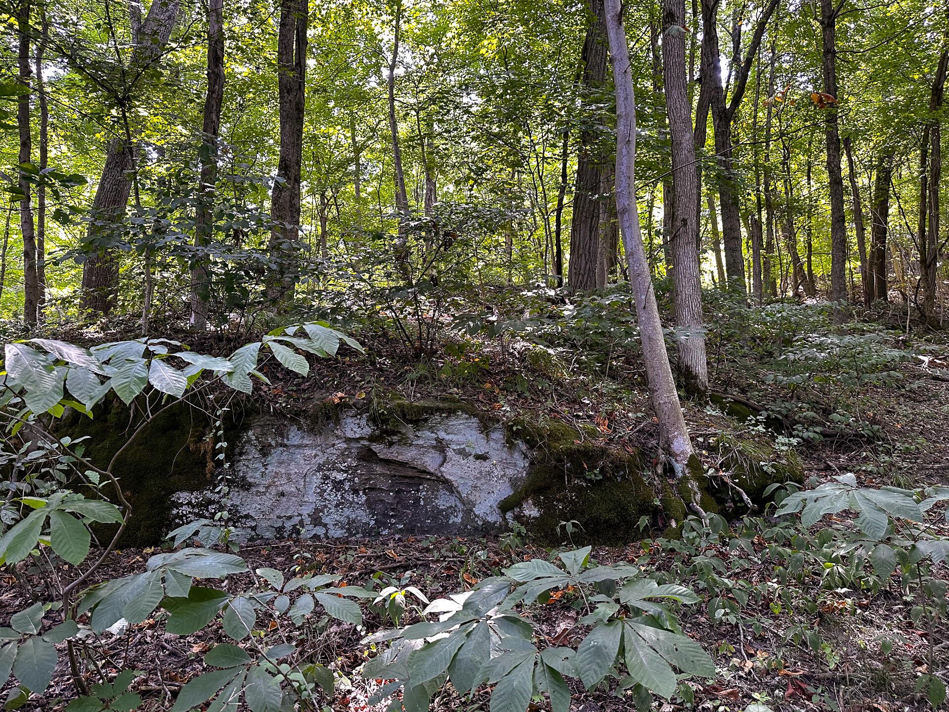 32254 Titus Road #TRACT 2 AT TITUS, Langsville, Ohio image 44