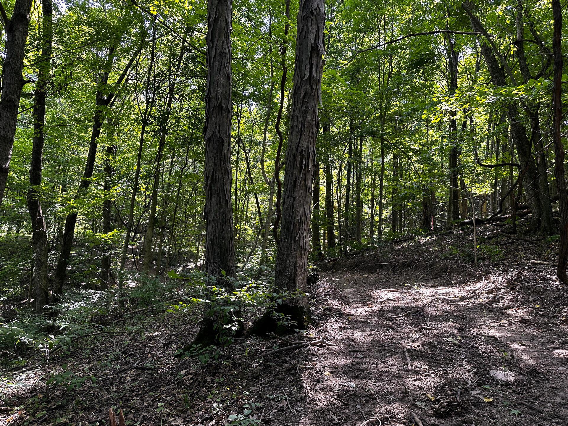 32254 Titus Road #TRACT 2 AT TITUS, Langsville, Ohio image 24