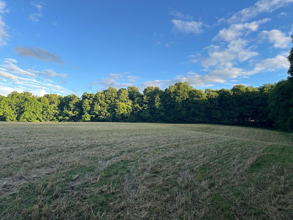 Photo of 9133 Township Road 51, Mount Perry, OH 43760 (MLS # 226022684)