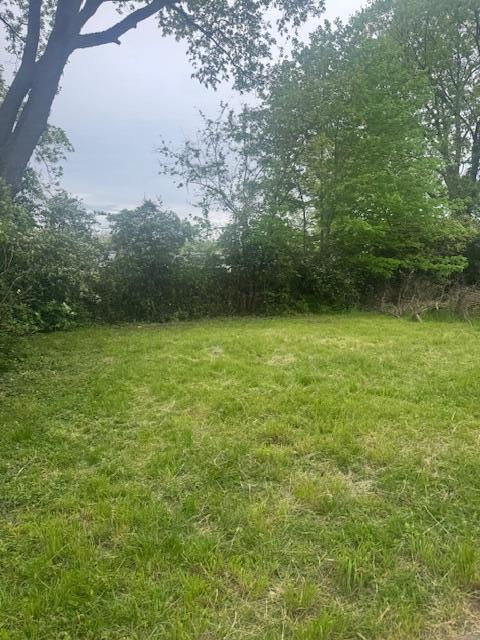 1361 Emery Avenue, Springfield, Ohio image 4