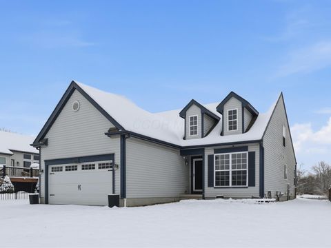 Photo of 1180 Rameys Run Court, Blacklick, OH 43004 (MLS # 225045157)